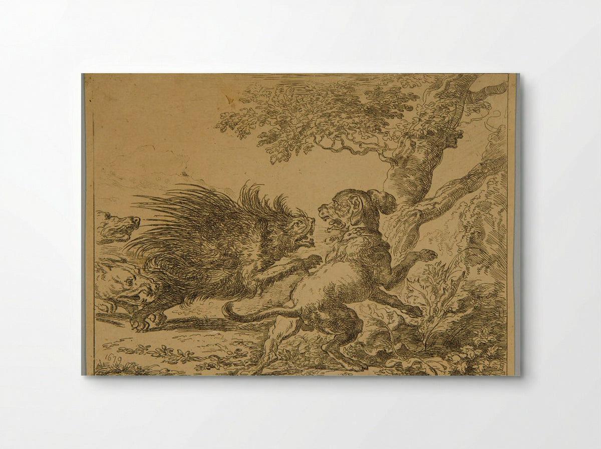 Porcupine and Dogs - Abraham Hondius - Poster
