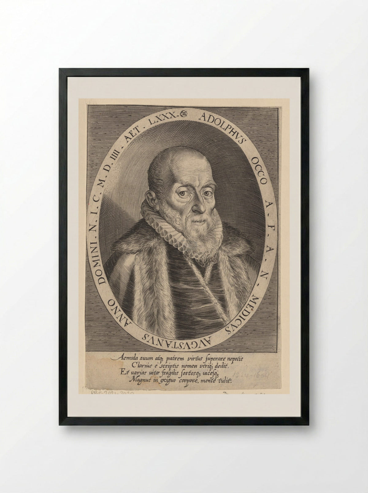 Portrait of Adolph Occo III - Dominicus Custos - Framed Print Black
