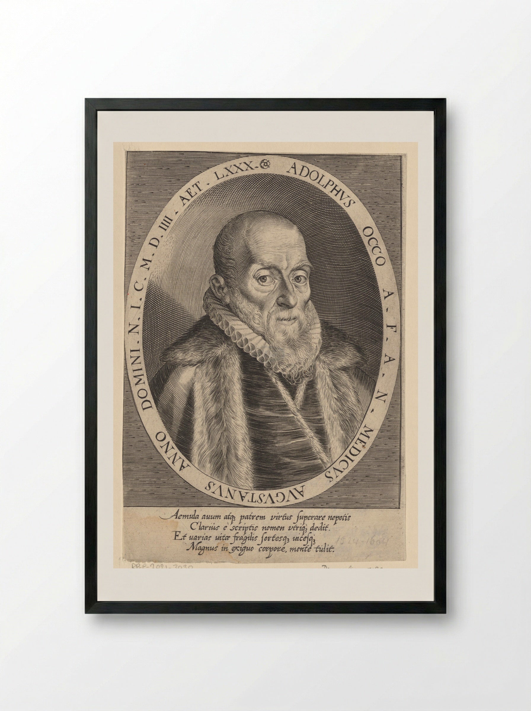 Portrait of Adolph Occo III - Dominicus Custos - Framed Print Black