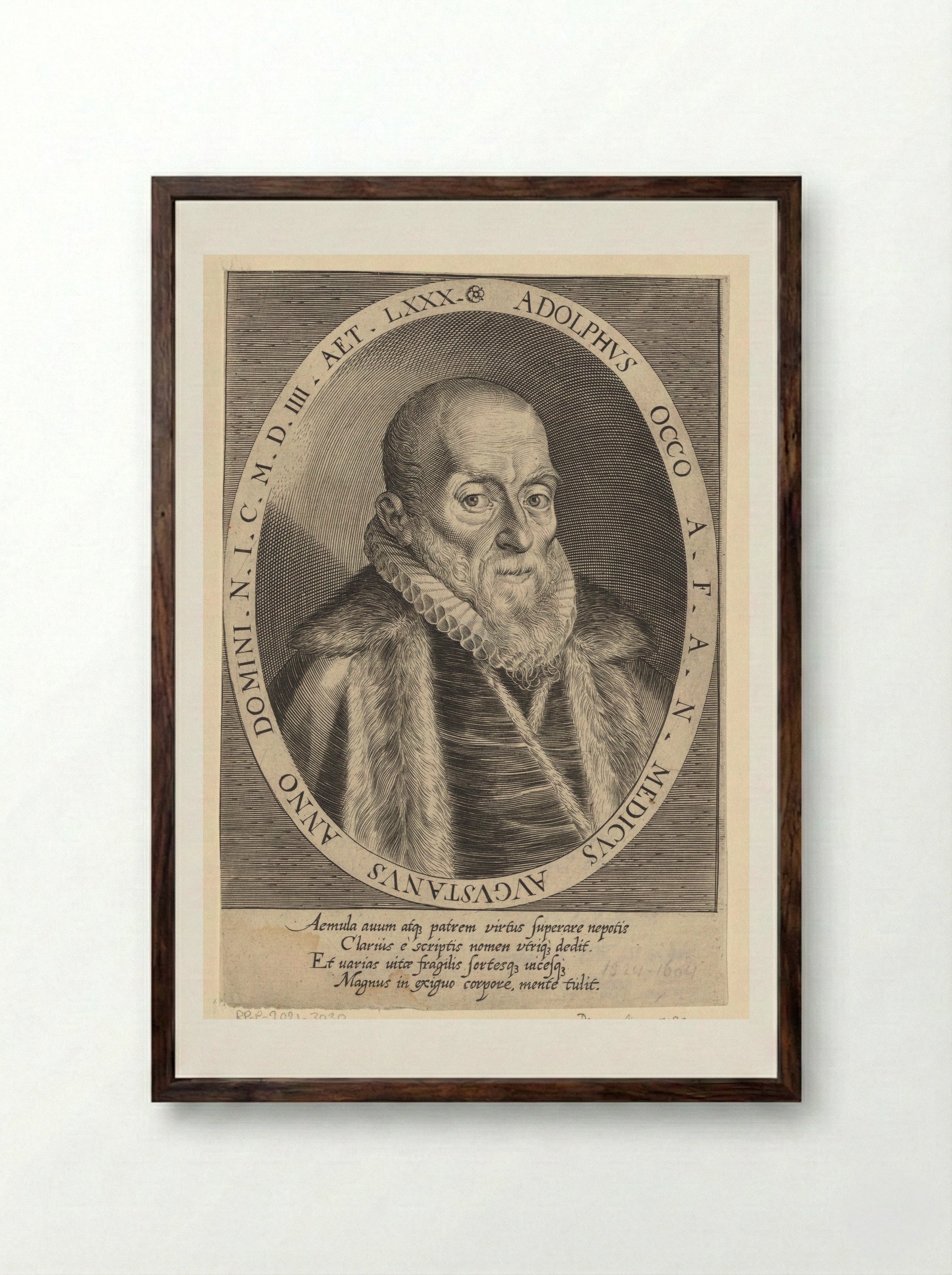 Portrait of Adolph Occo III - Dominicus Custos - Framed Print Dark Wood