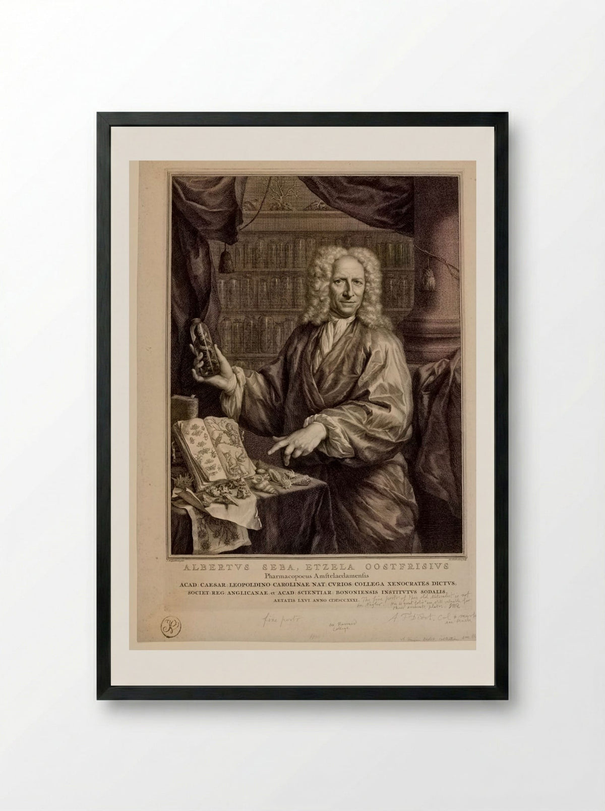 Portrait of Albertus Seba - Jacobus Houbraken - Framed Print Black