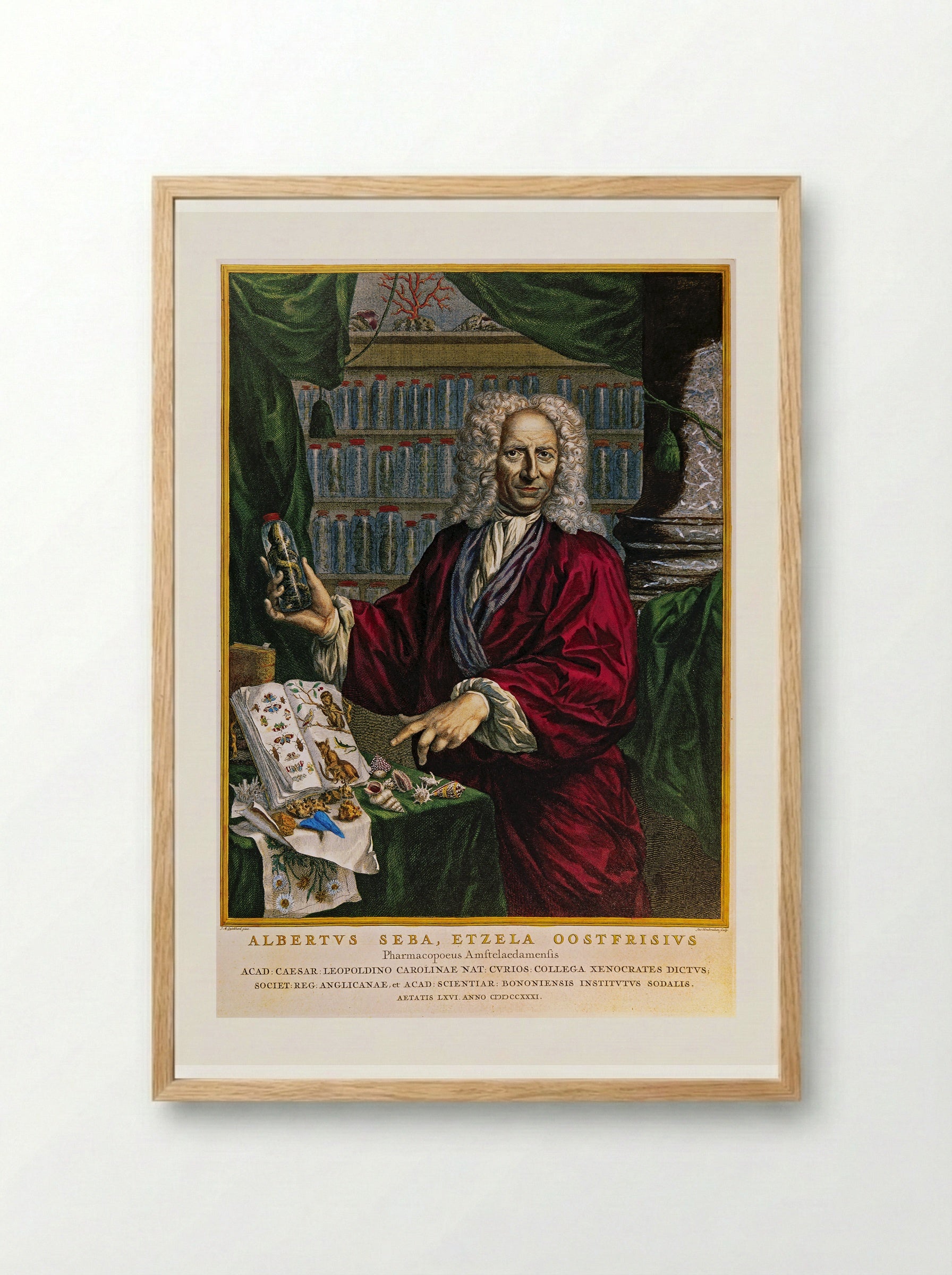 Portrait of Albertus Seba - Jacobus Houbraken - Framed Print Wood
