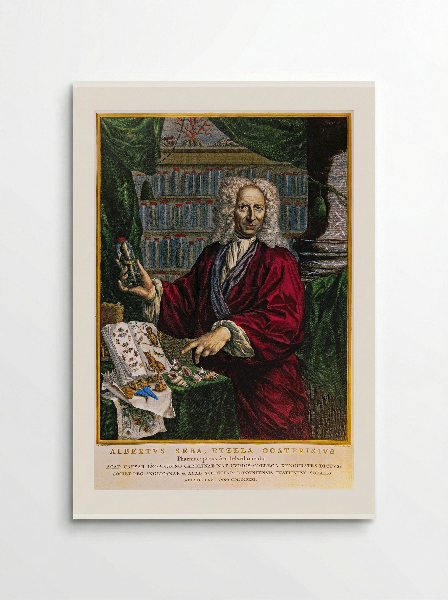 Portrait of Albertus Seba - Jacobus Houbraken - Poster