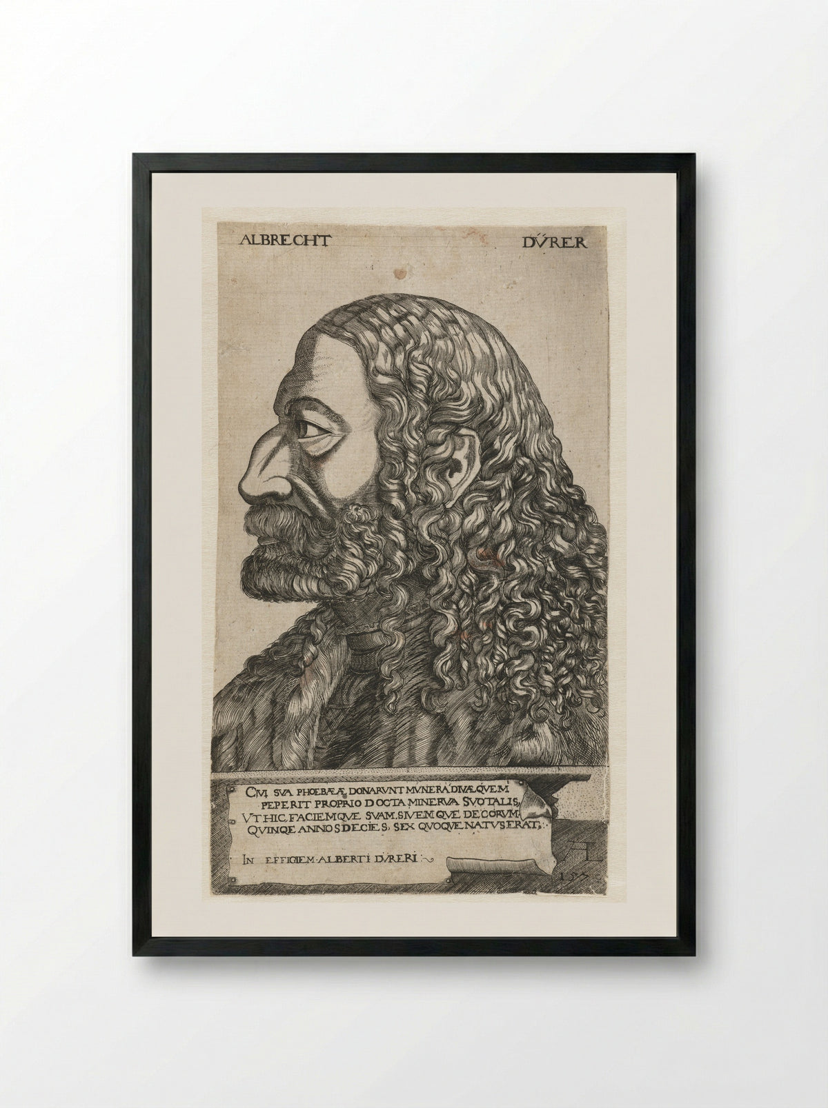 Portrait of Albrecht Dürer - Monogrammist AL - Framed Print Black