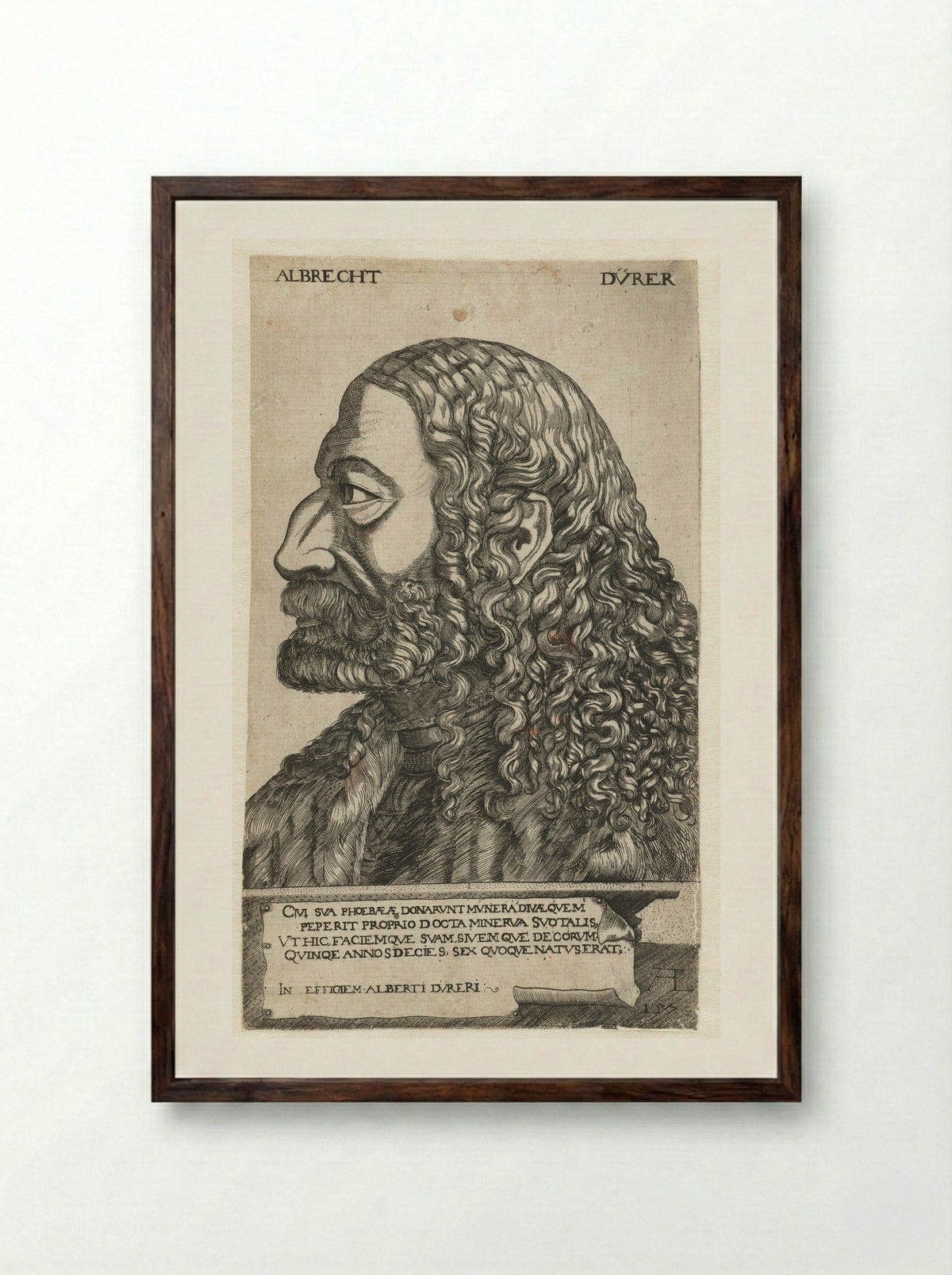 Portrait of Albrecht Dürer - Monogrammist AL - Framed Print Dark Wood