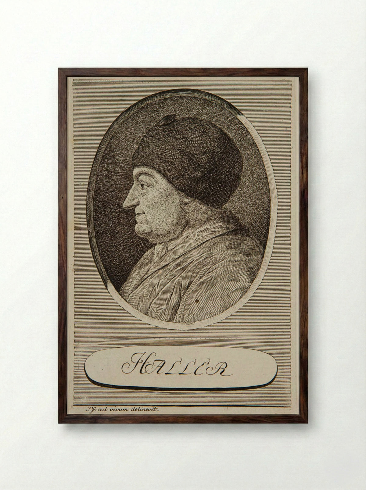Portrait of Albrecht von Haller - Carl Herman Pfeiffer - Framed Print Dark Wood