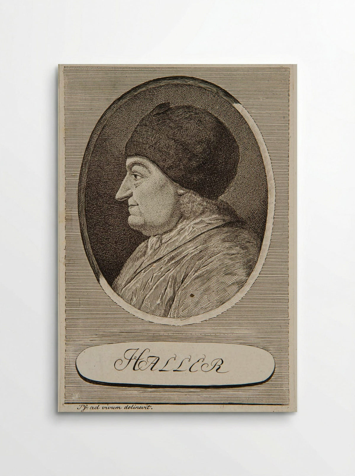 Portrait of Albrecht von Haller - Carl Herman Pfeiffer - Poster