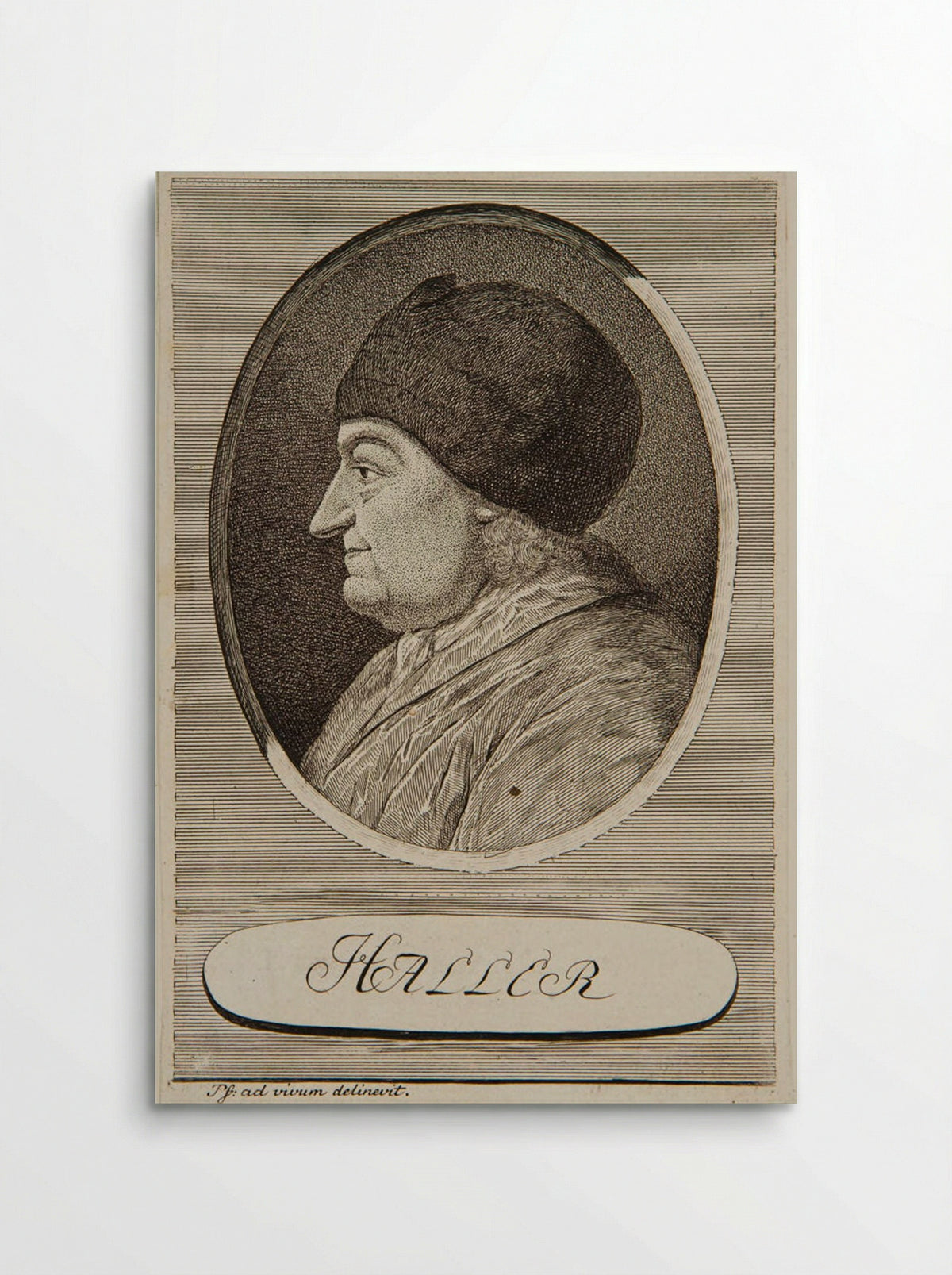 Portrait of Albrecht von Haller - Carl Herman Pfeiffer - Poster