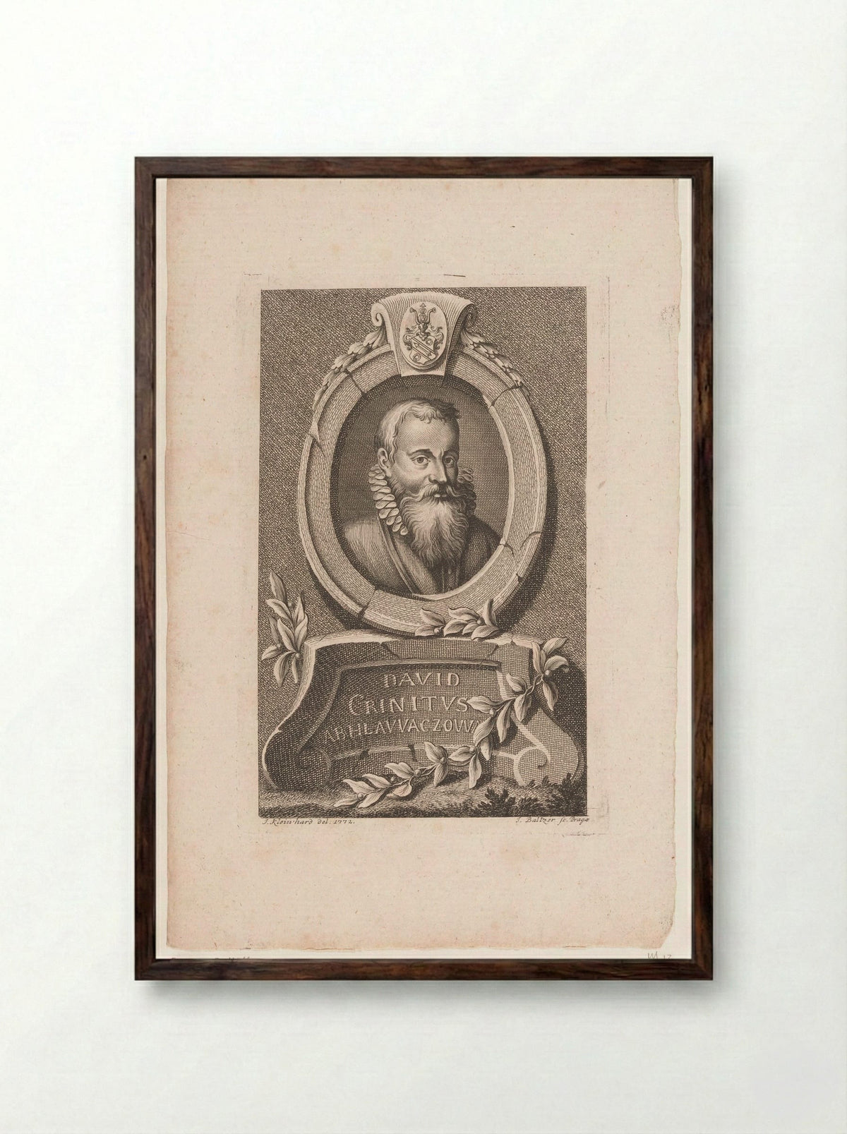 Portrait of David Crinitus z Hlavácova - Jan Balzer - Framed Print Dark Wood