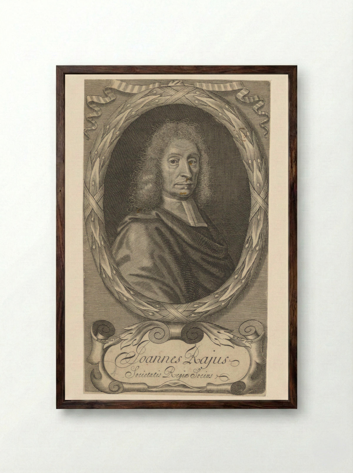 Portrait of John Ray - William Elder - Framed Print Dark Wood