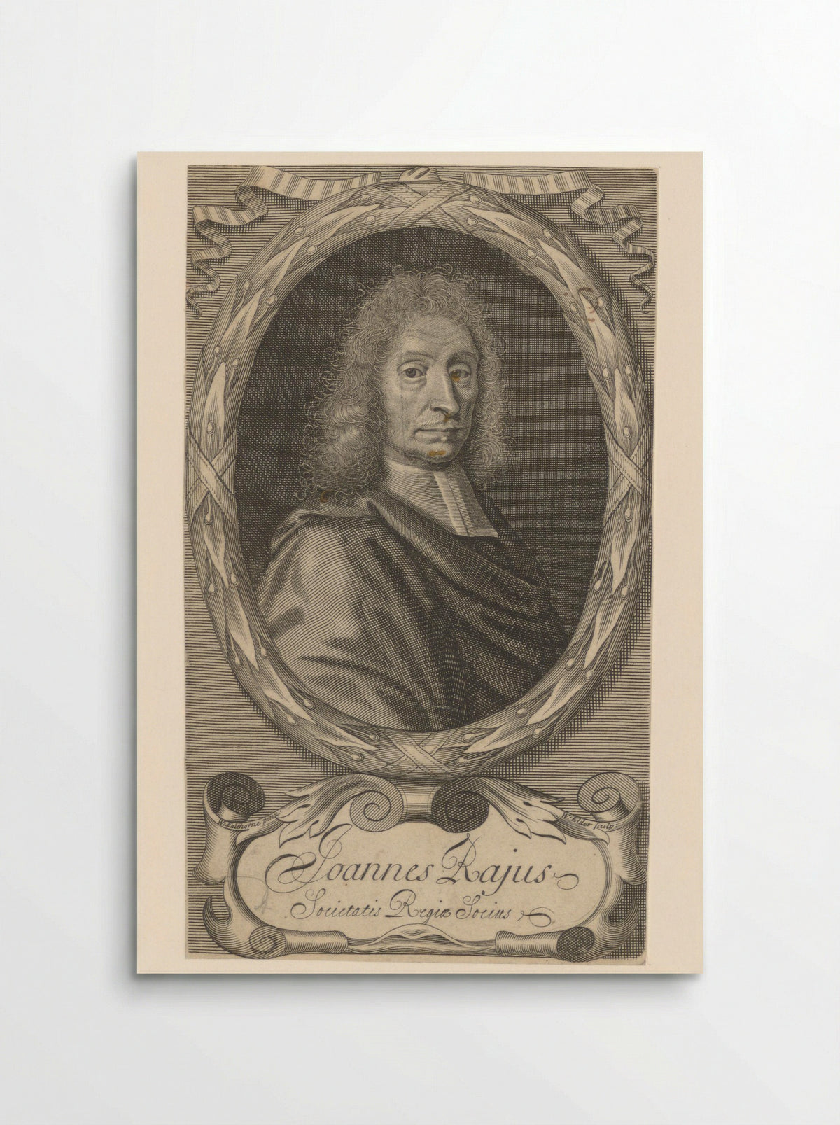 Portrait of John Ray - William Elder - Poster