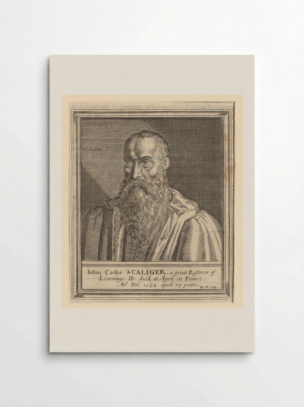 Portrait of Julius Caesar Scaliger - William Marshall - Poster