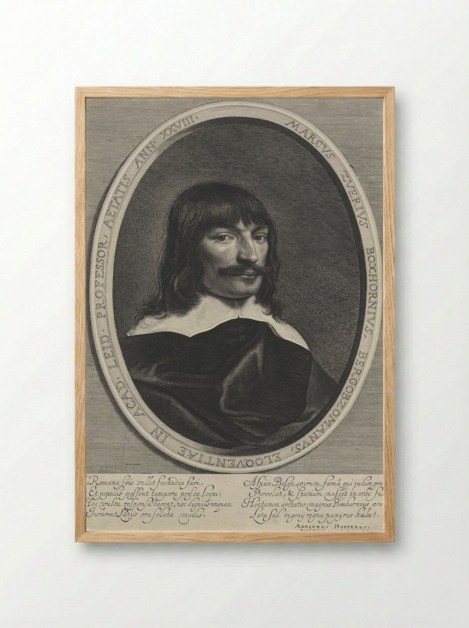 Portrait of Marcus Zuerius Boxhorn - Jonas Suyderhoef - Framed Print Wood