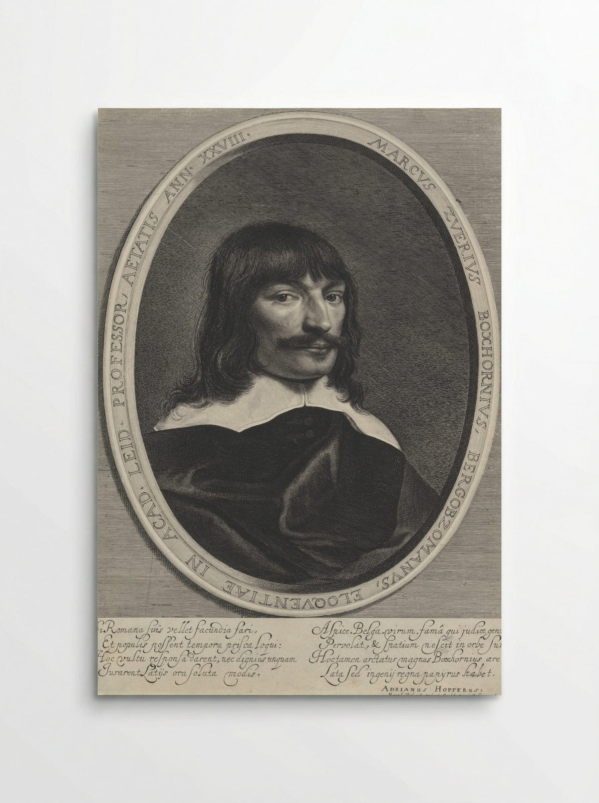 Portrait of Marcus Zuerius Boxhorn - Jonas Suyderhoef - Poster