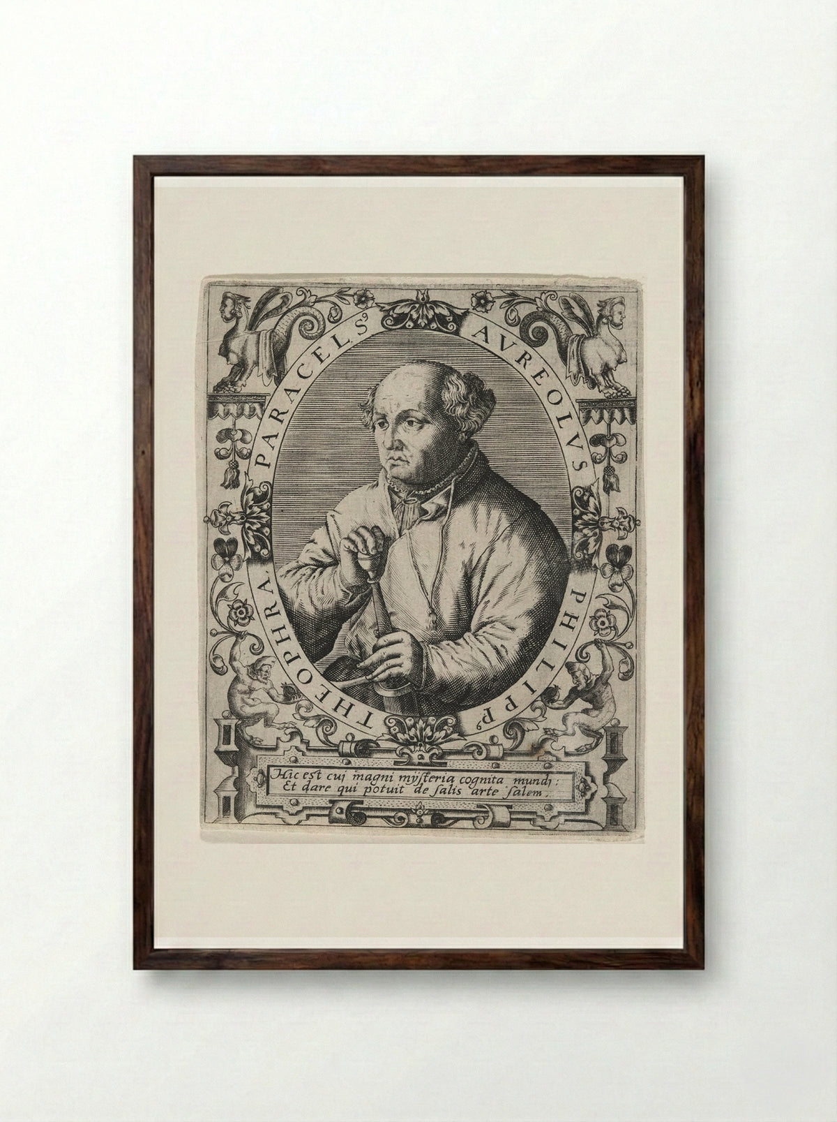 Portrait of Paracelsus - Theodor de Bry - Framed Print Dark Wood