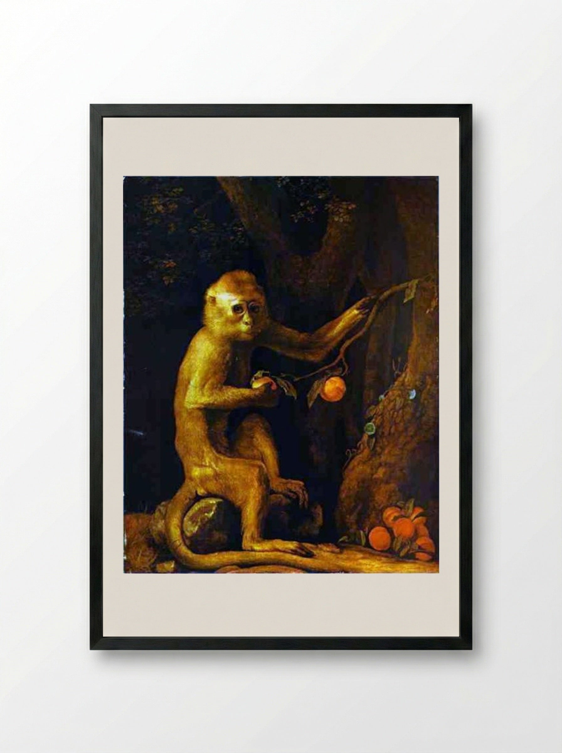 Portrait of a Monkey - George Stubbs - Framed Print Black