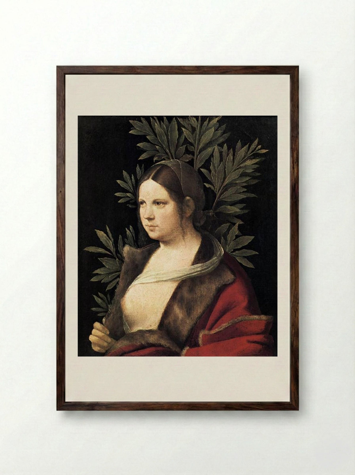Portrait of a Young Woman (Laura) - Giorgione - Framed Print Dark Wood