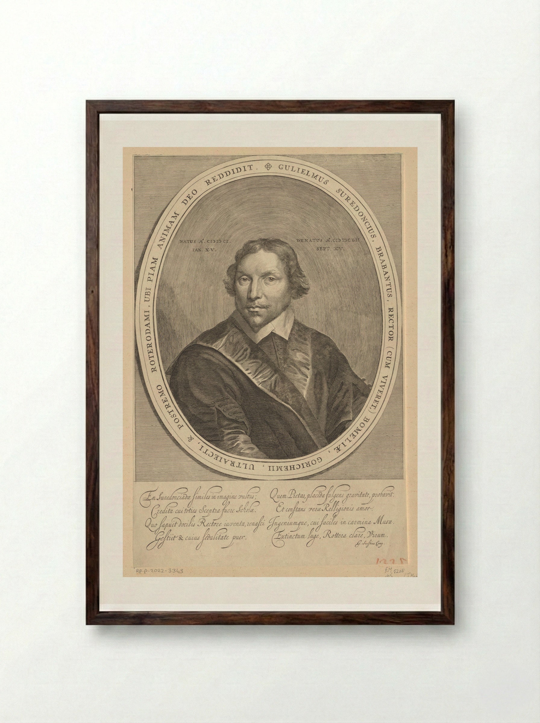 Portret van Guilielmus Surendonck - Theodor Matham - Framed Print Dark Wood