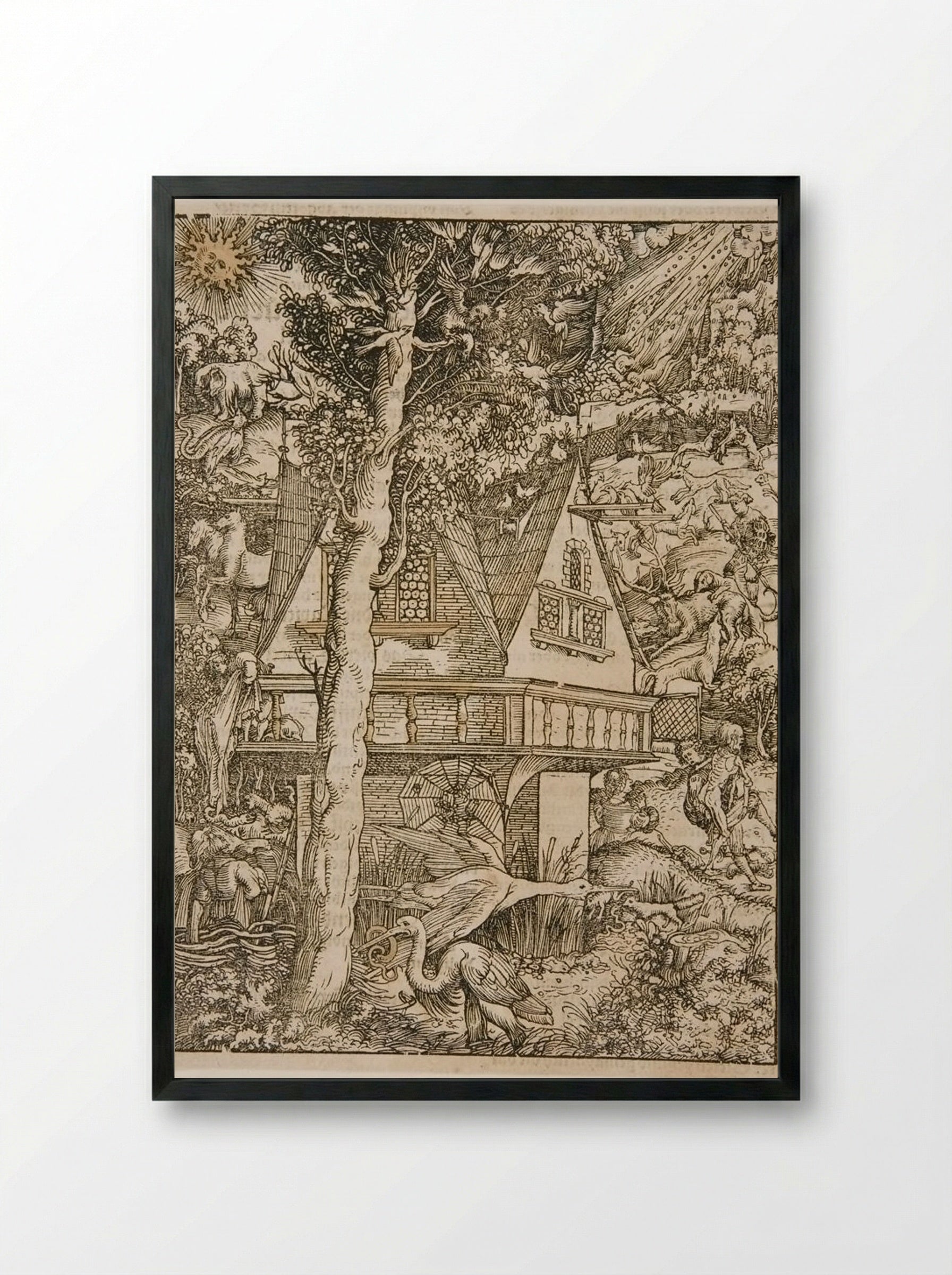 Predators and Prey among All Creatures Large and Small - Hans Weiditz - Framed Print Black