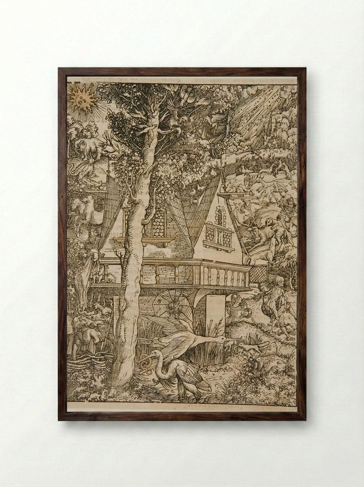 Predators and Prey among All Creatures Large and Small - Hans Weiditz - Framed Print Dark Wood