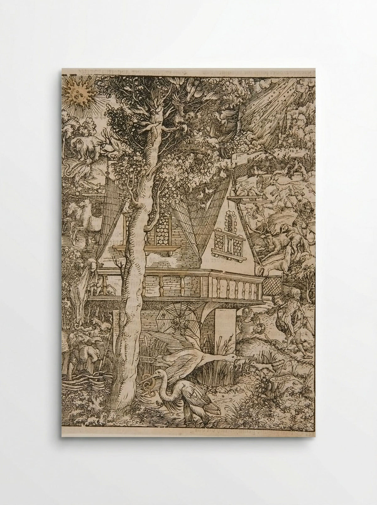 Predators and Prey among All Creatures Large and Small - Hans Weiditz - Poster