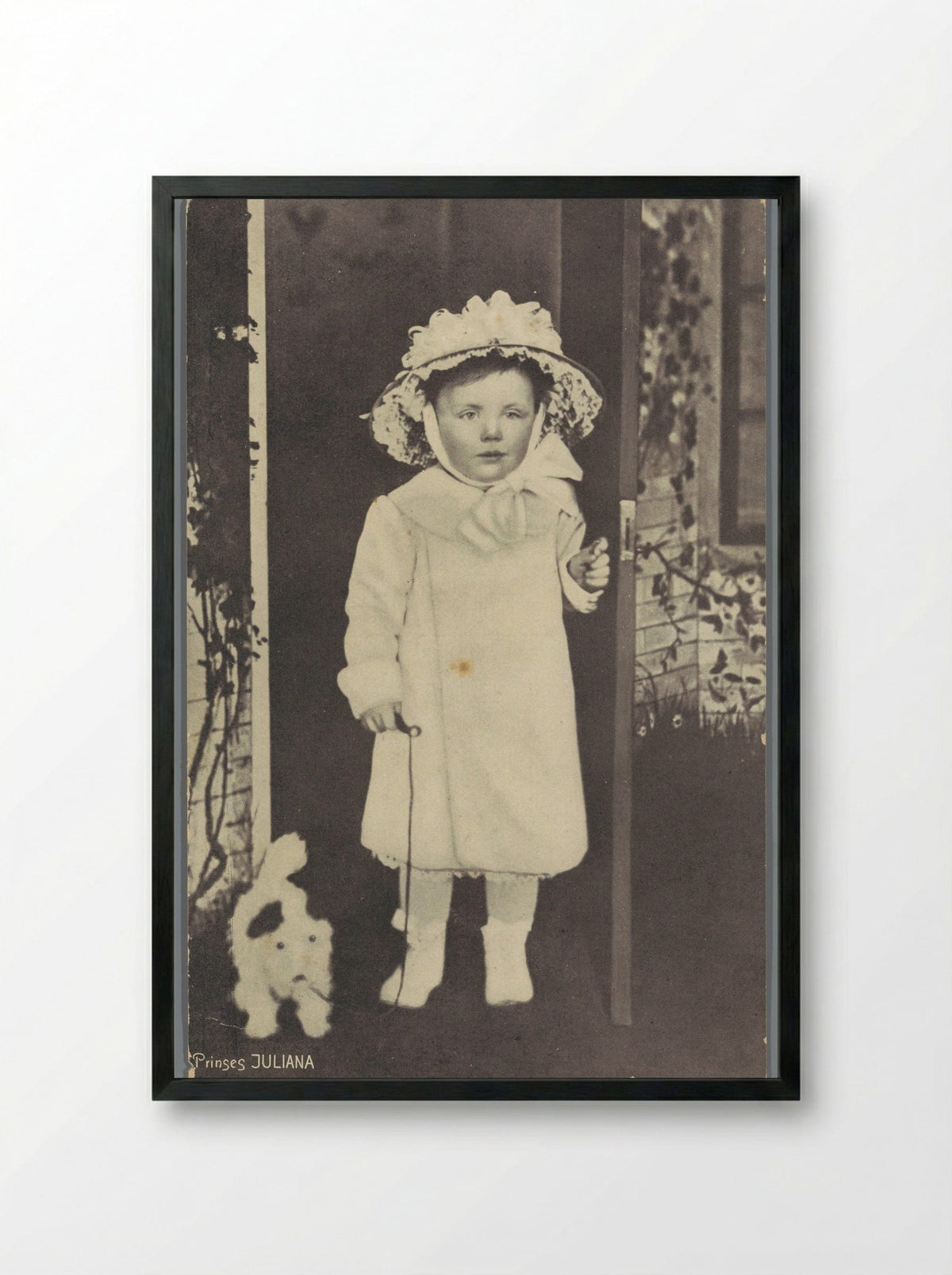 Prinses Juliana - Guy de Coral & Co. - Framed Print Black