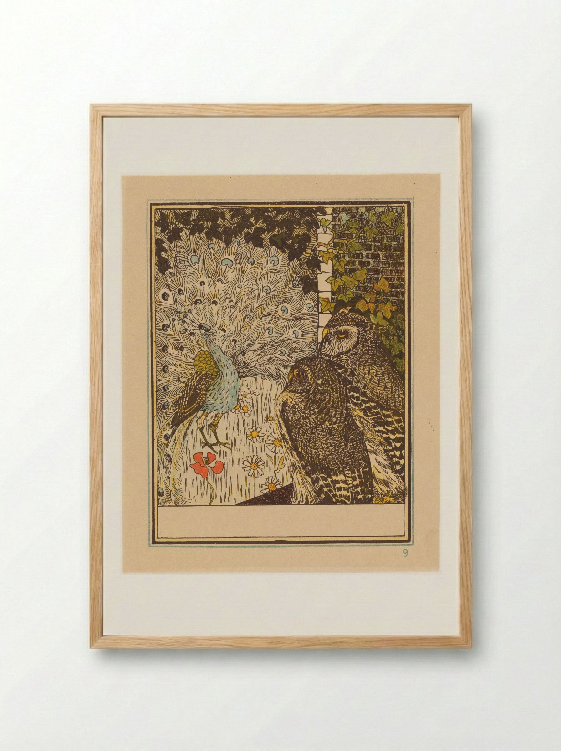 Pronkende pauw en twee uilen - Theo van Hoytema - Framed Print Wood
