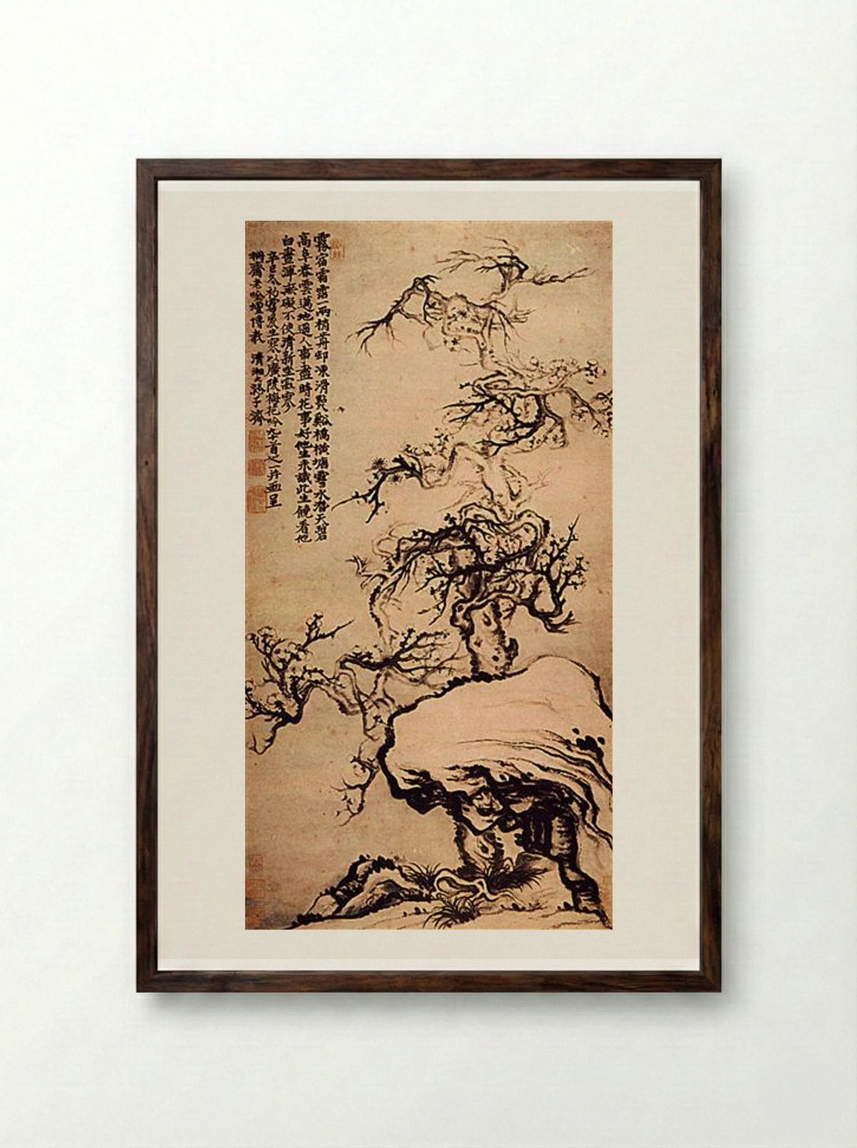 Prunus among the Rocks - Shitao - Framed Print Dark Wood