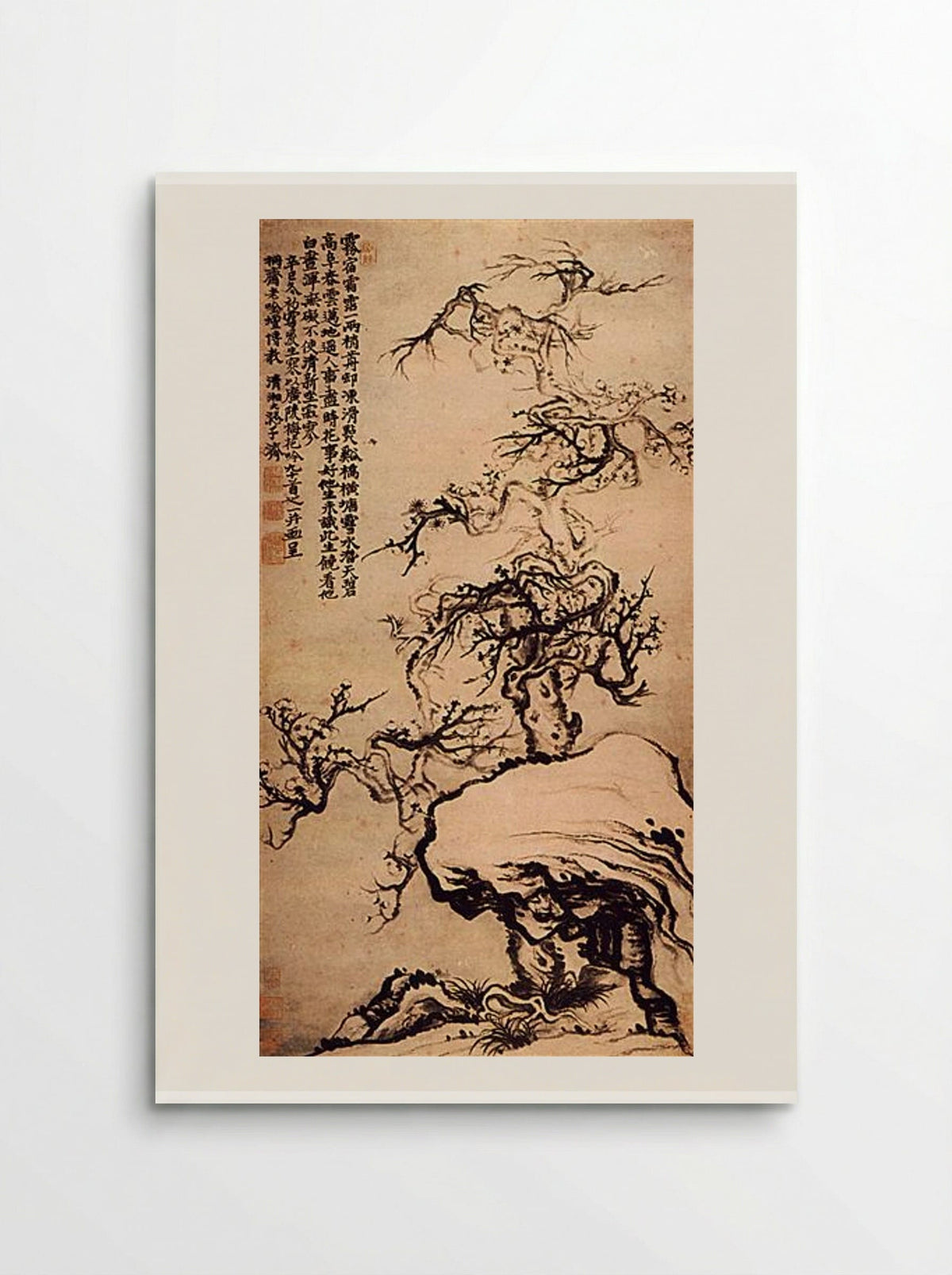 Prunus among the Rocks - Shitao - Poster
