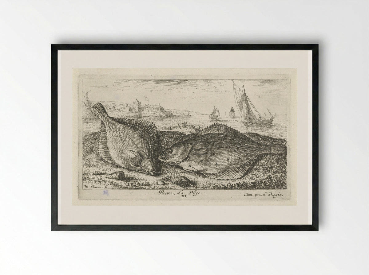 Psetta. La Plye - Albert Flamen - Framed Print Black