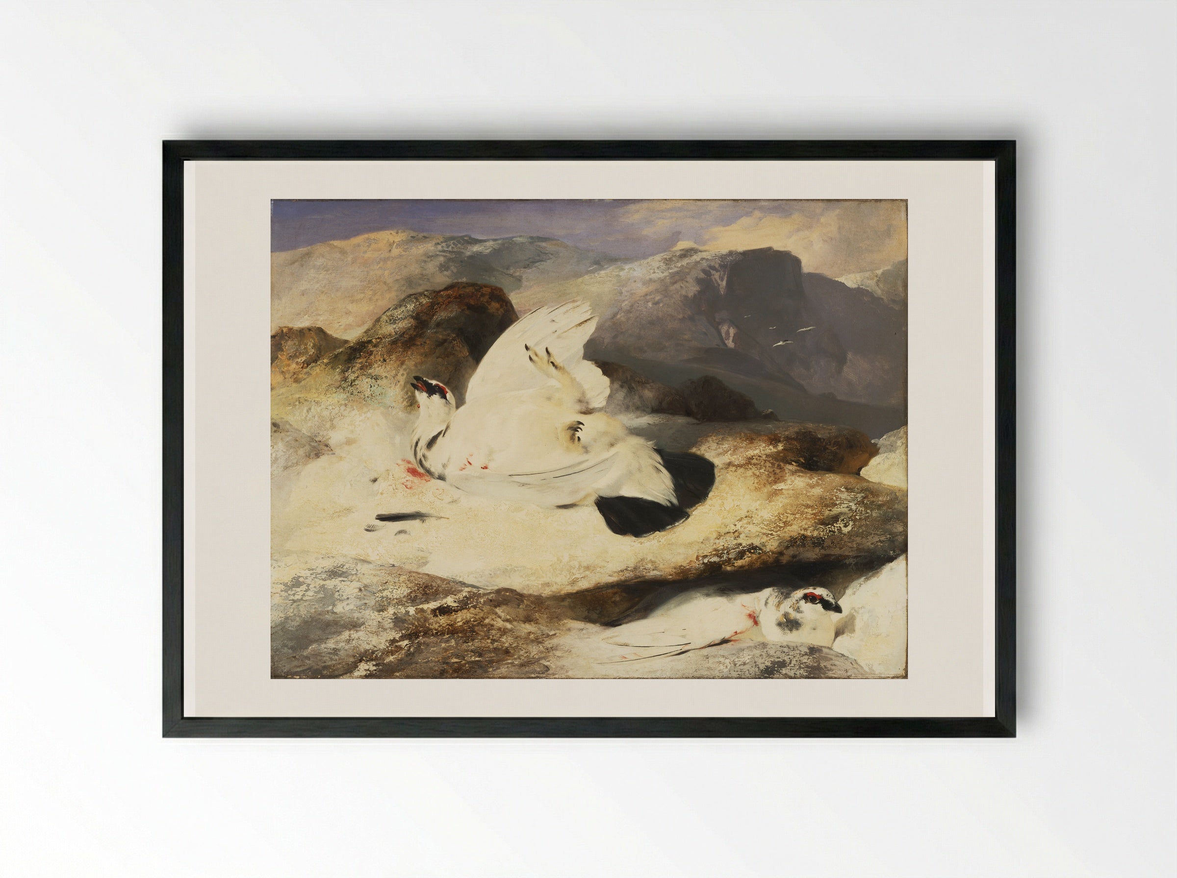 Ptarmigan - Edwin Henry Landseer - Framed Print Black