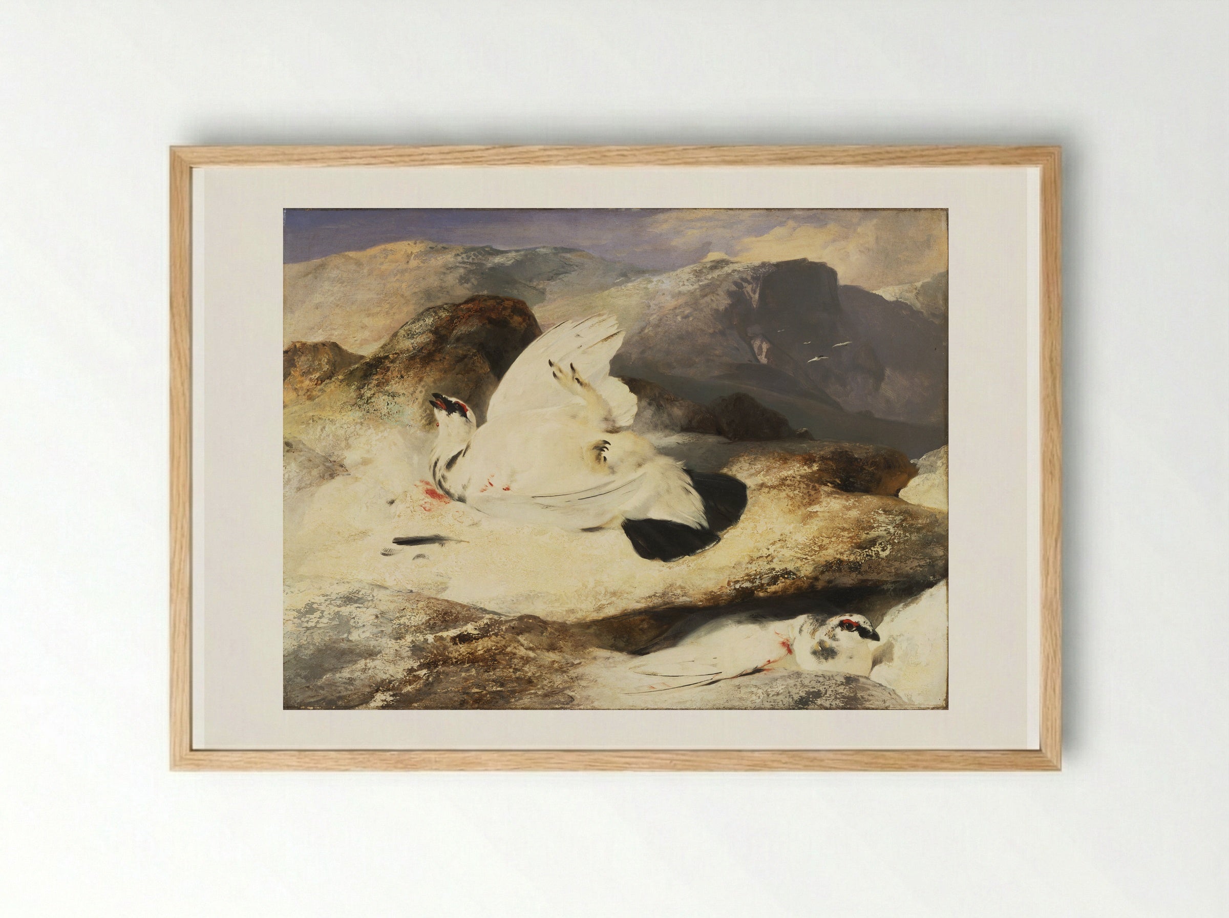 Ptarmigan - Edwin Henry Landseer - Framed Print Wood