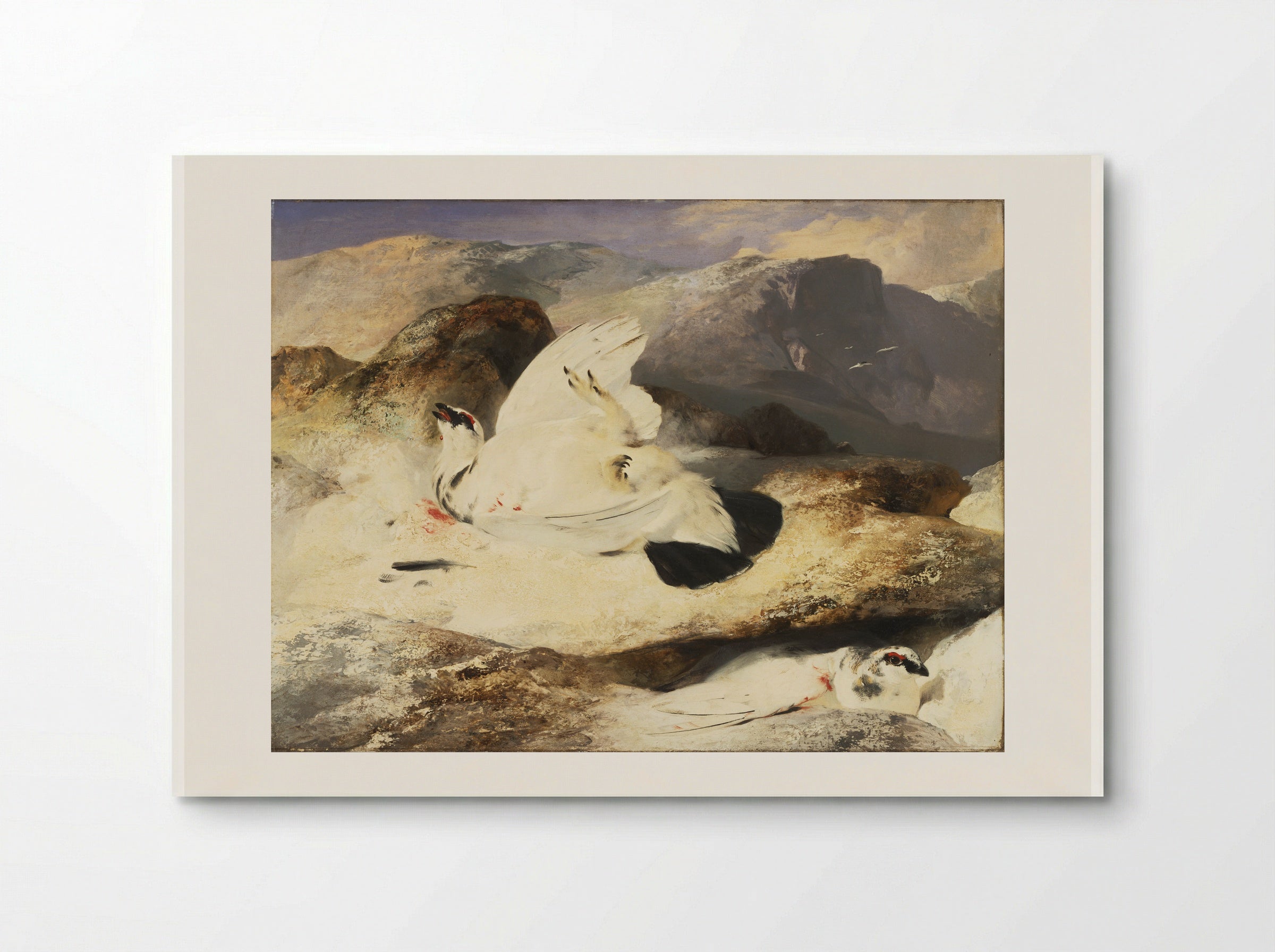 Ptarmigan - Edwin Henry Landseer - Poster
