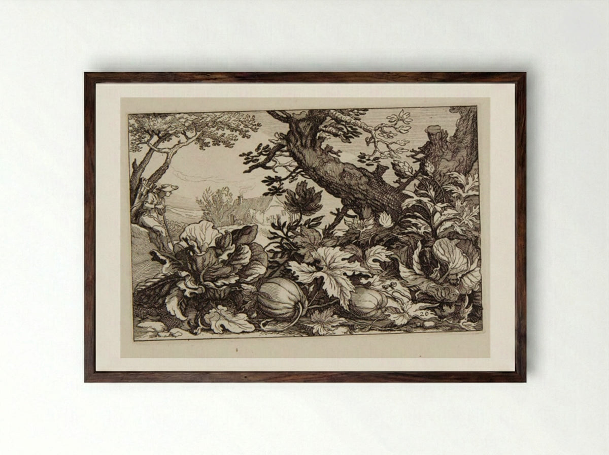 Pumpkins - Claes Jansz. Visscher - Framed Print Dark Wood