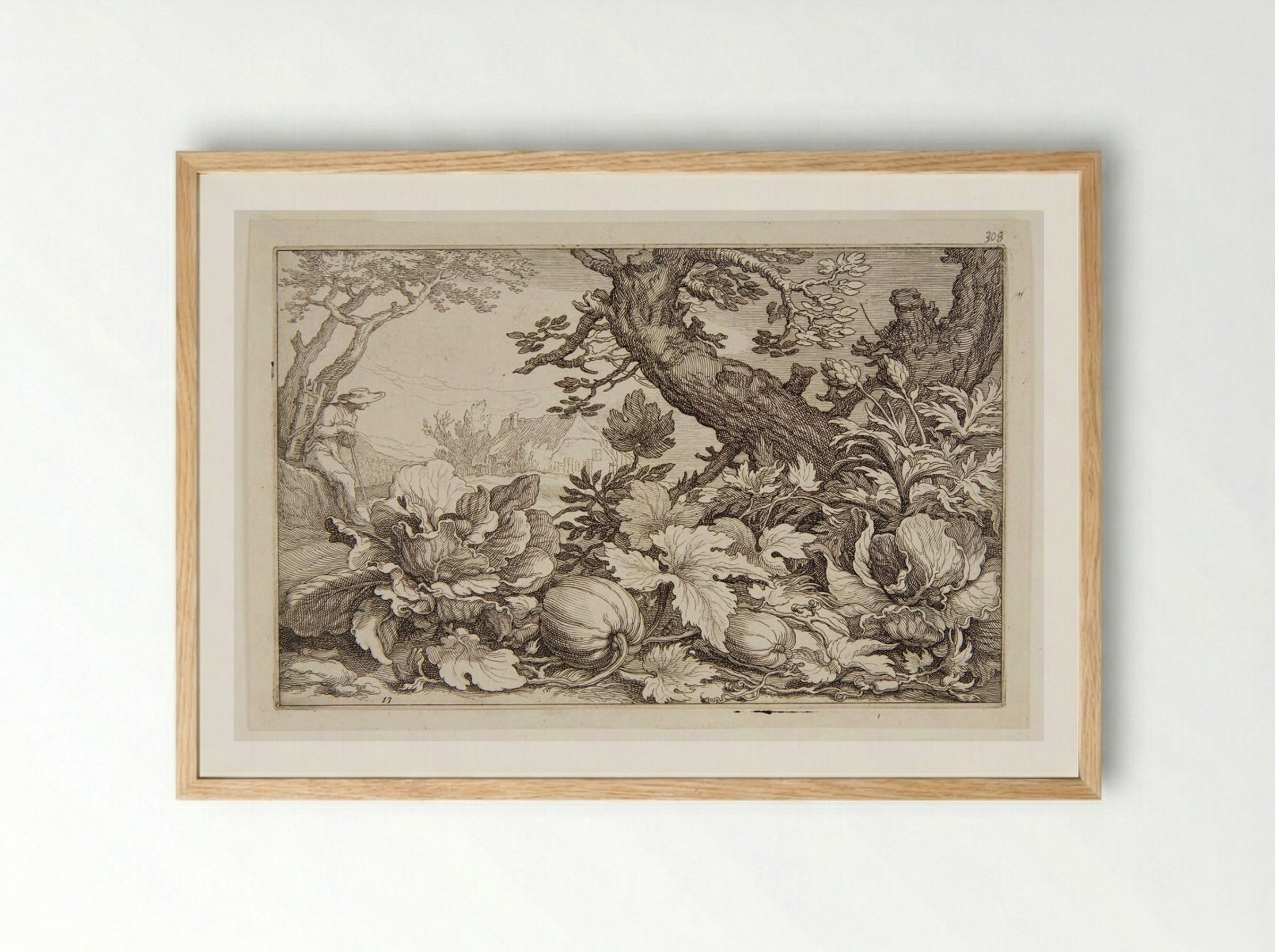 Pumpkins - Boetius Adamsz. Bolswert - Framed Print Wood