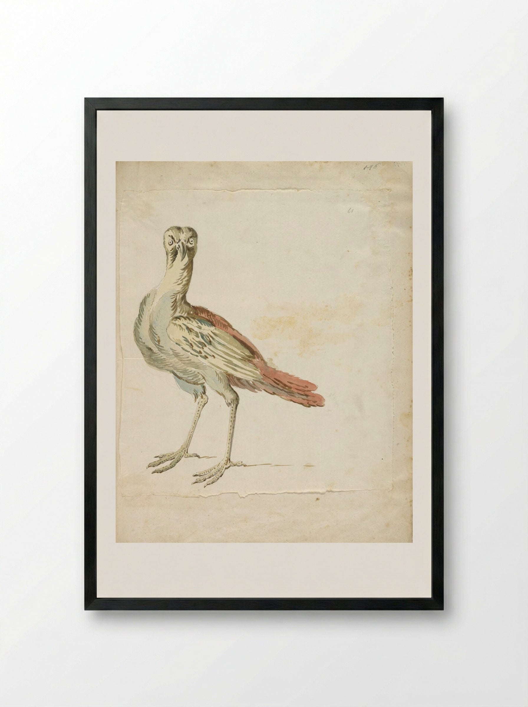 Quizzical Bird - Jean-Baptiste Oudry - Framed Print Black