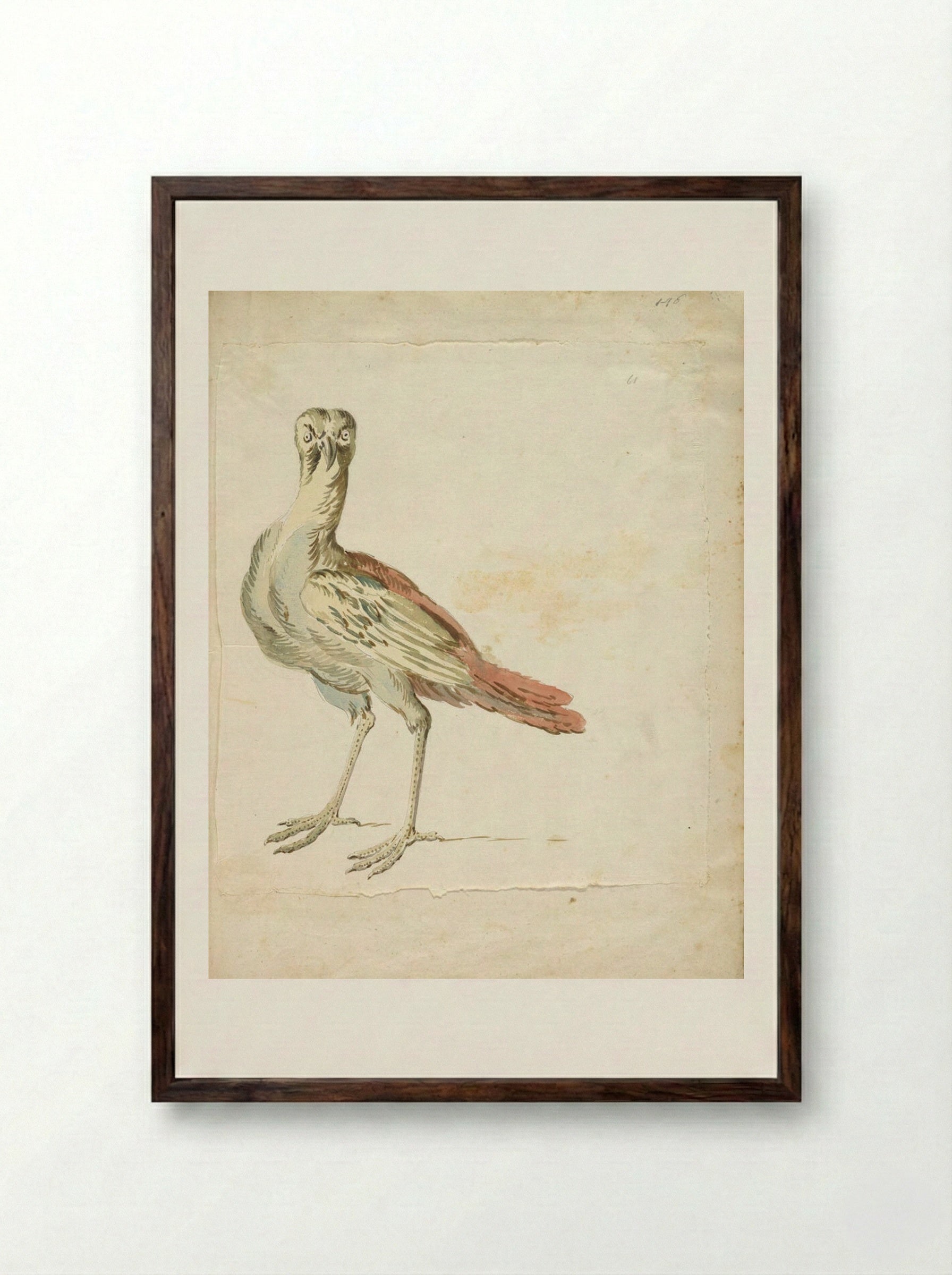 Quizzical Bird - Jean-Baptiste Oudry - Framed Print Dark Wood