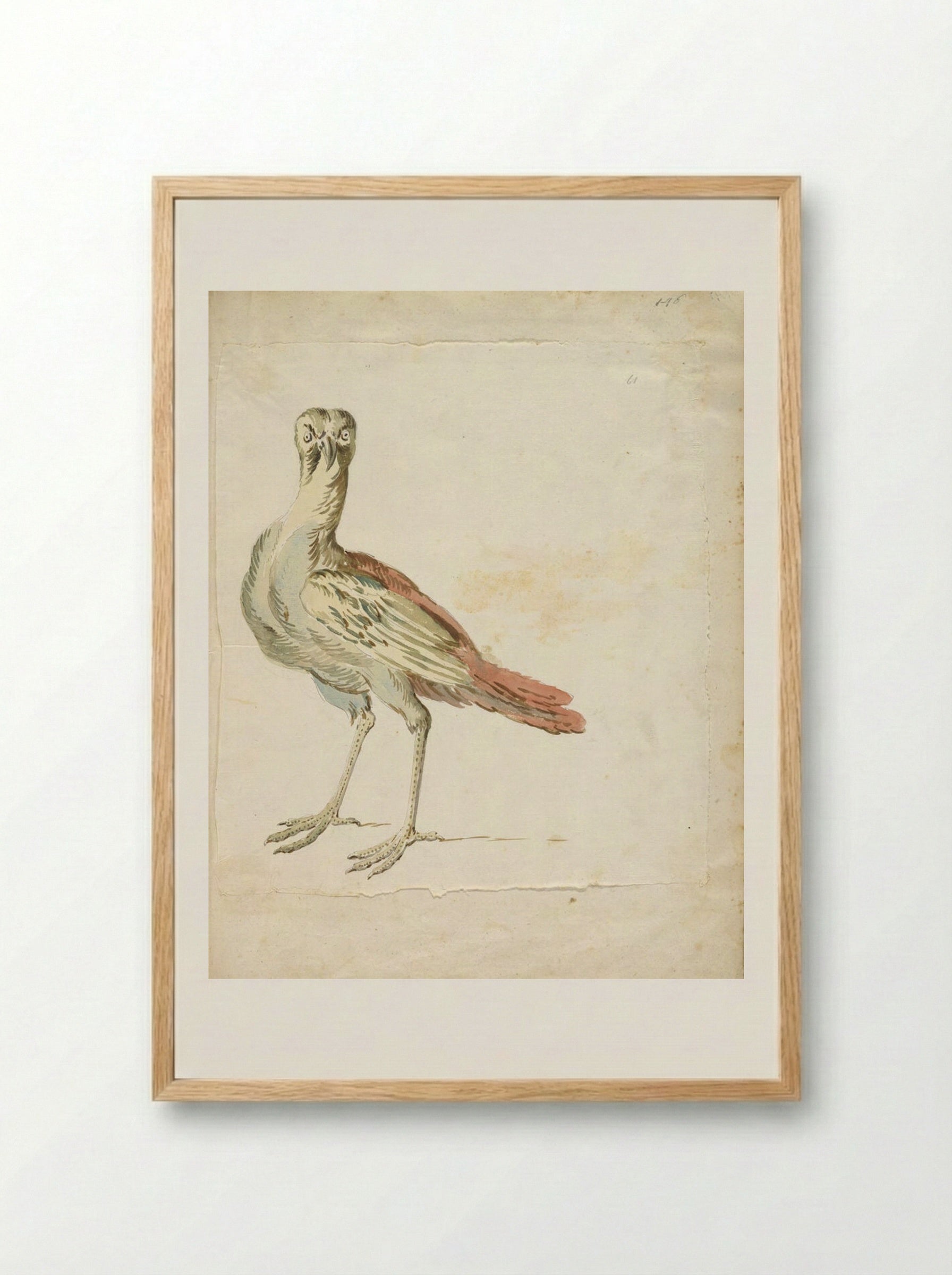 Quizzical Bird - Jean-Baptiste Oudry - Framed Print Wood