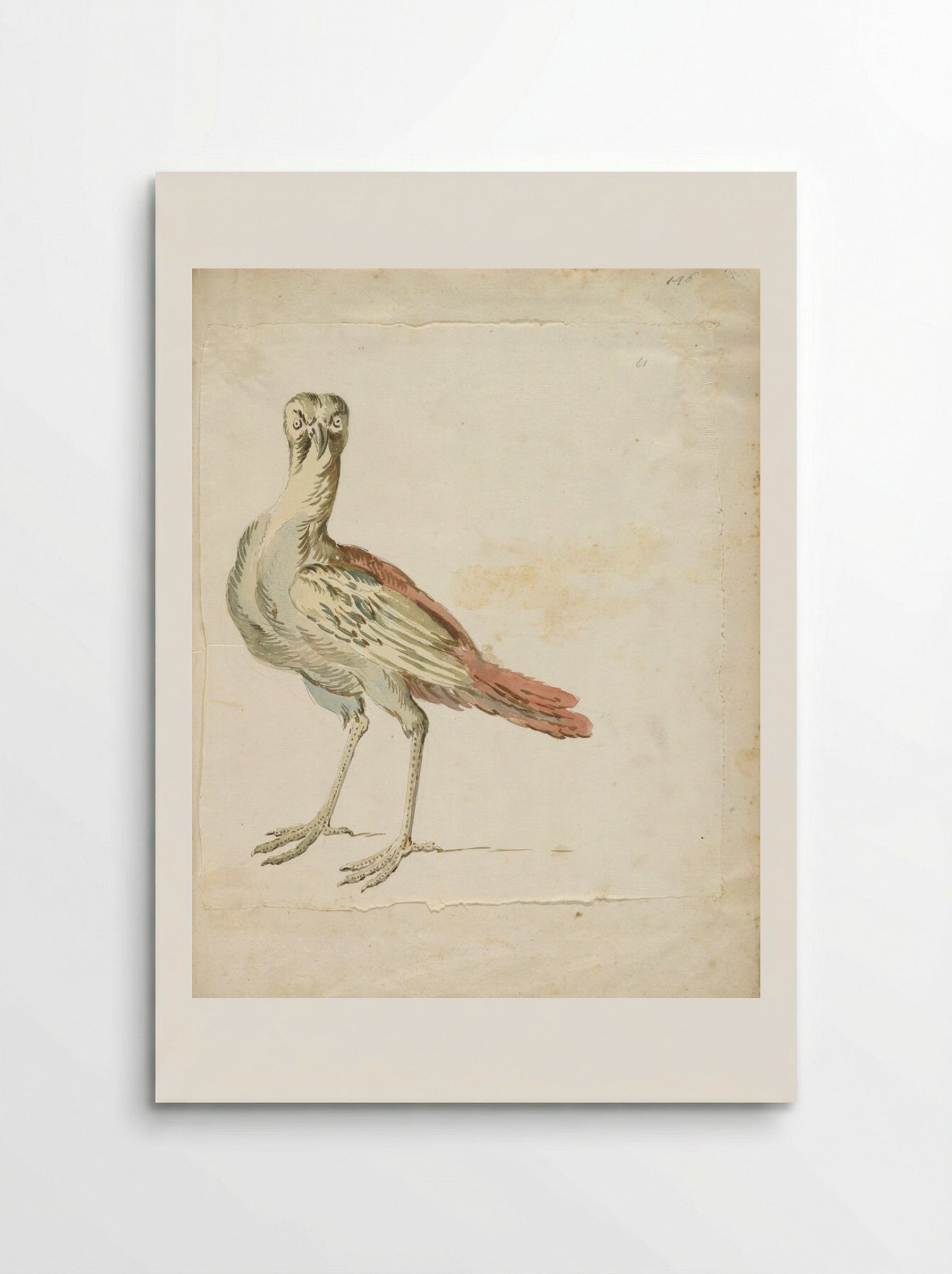 Quizzical Bird - Jean-Baptiste Oudry - Poster