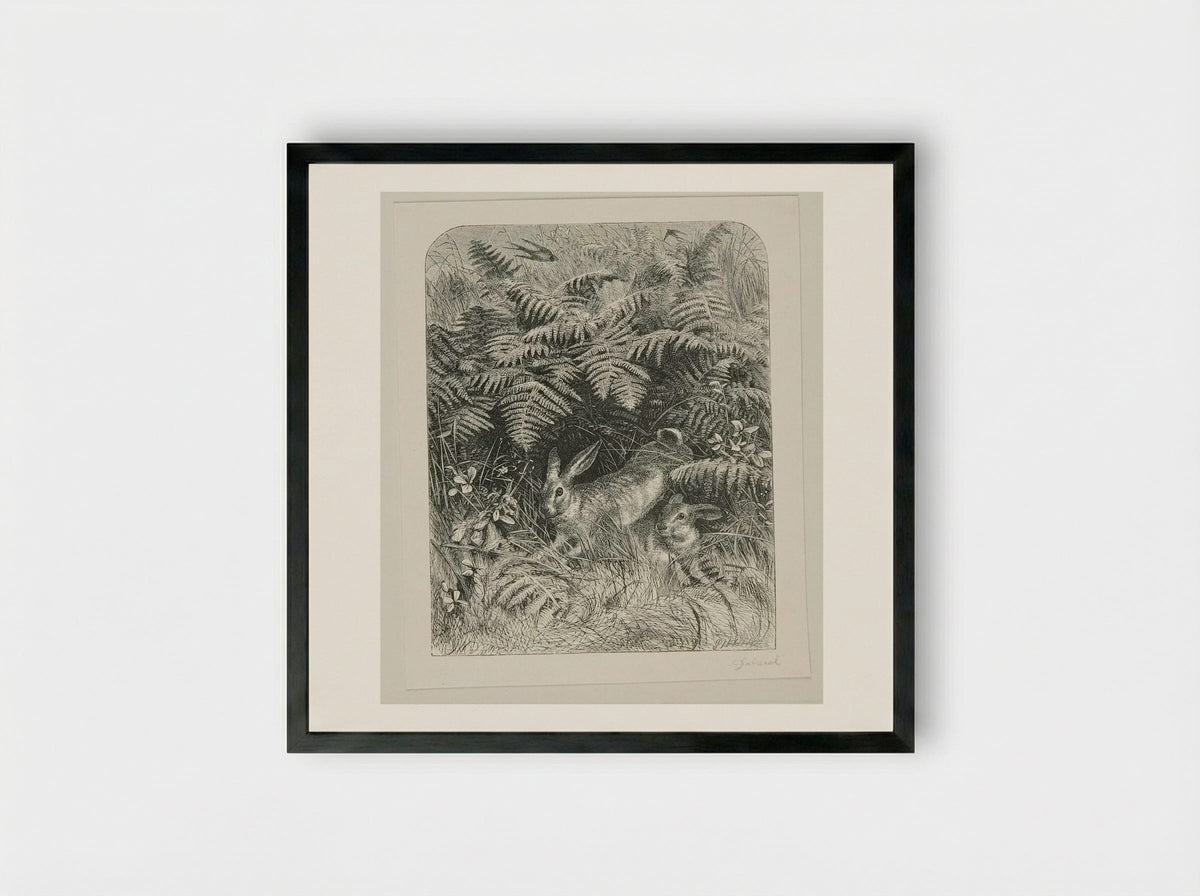 Rabbits - Edward Dalziel - Framed Print Black