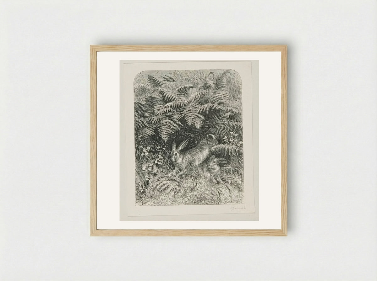 Rabbits - Edward Dalziel - Framed Print Wood