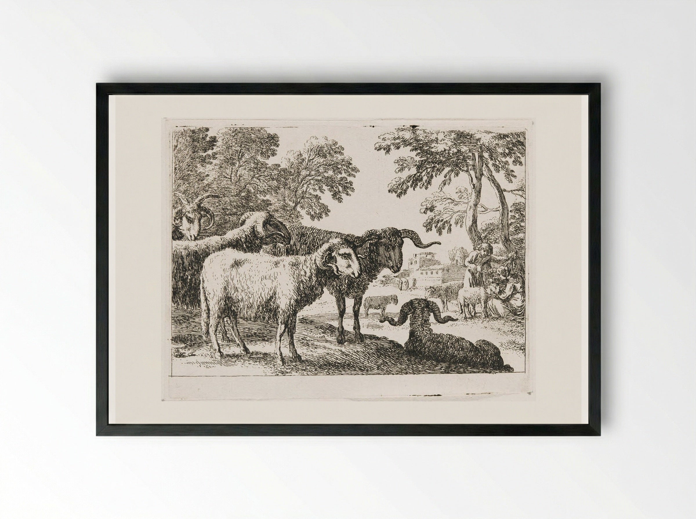 Rams - Herman van Swanevelt - Framed Print Black