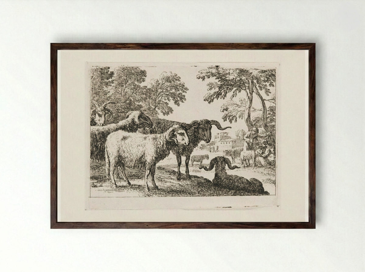 Rams - Herman van Swanevelt - Framed Print Dark Wood