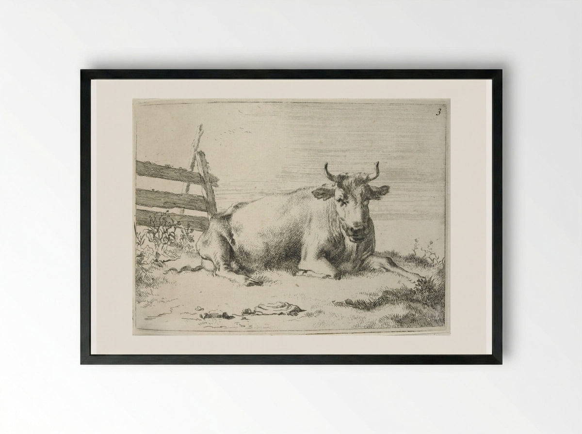 Recumbent Cow near a Fence - Johannes Visscher - Framed Print Black