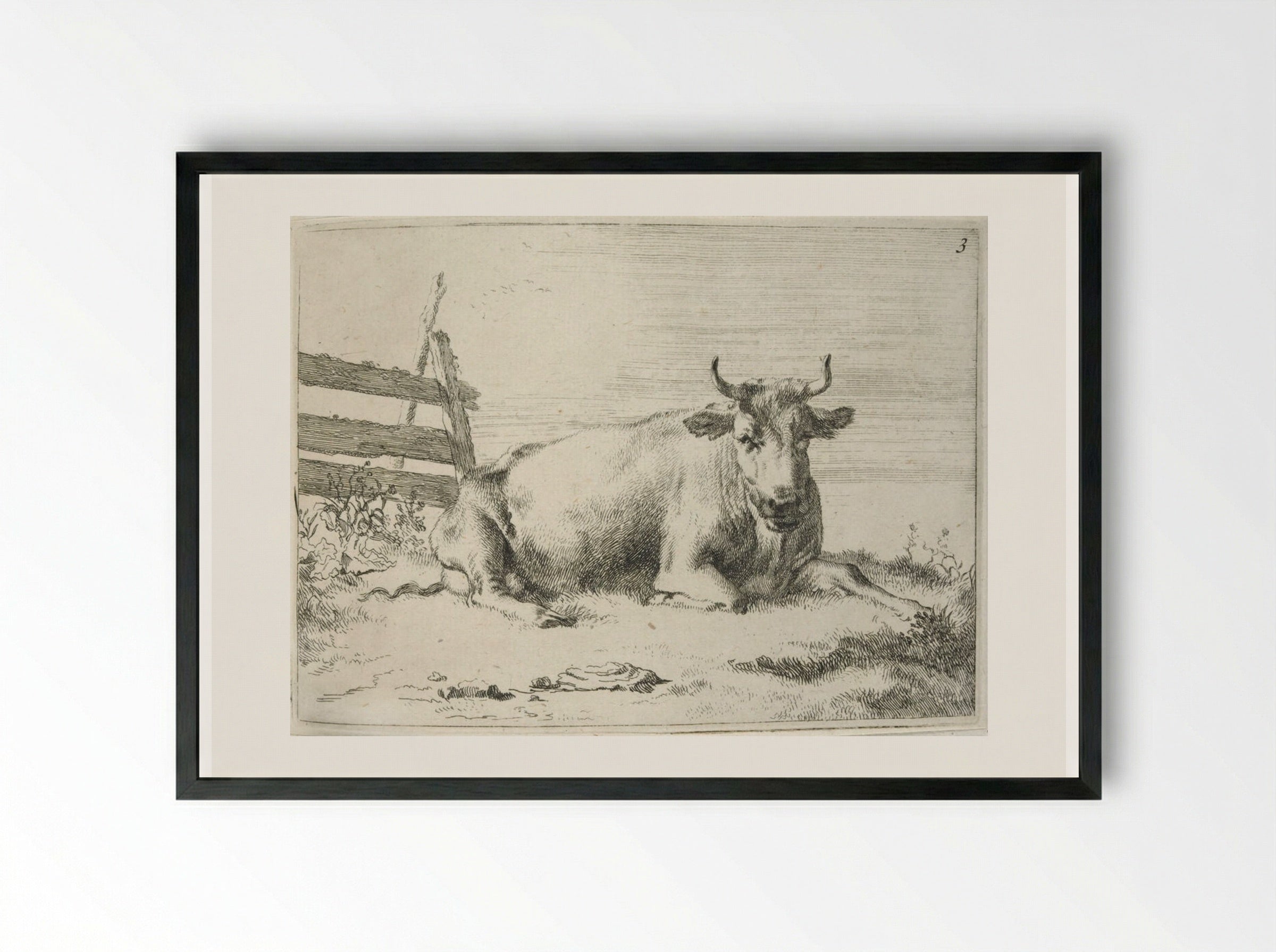 Recumbent Cow near a Fence - Johannes Visscher - Framed Print Black