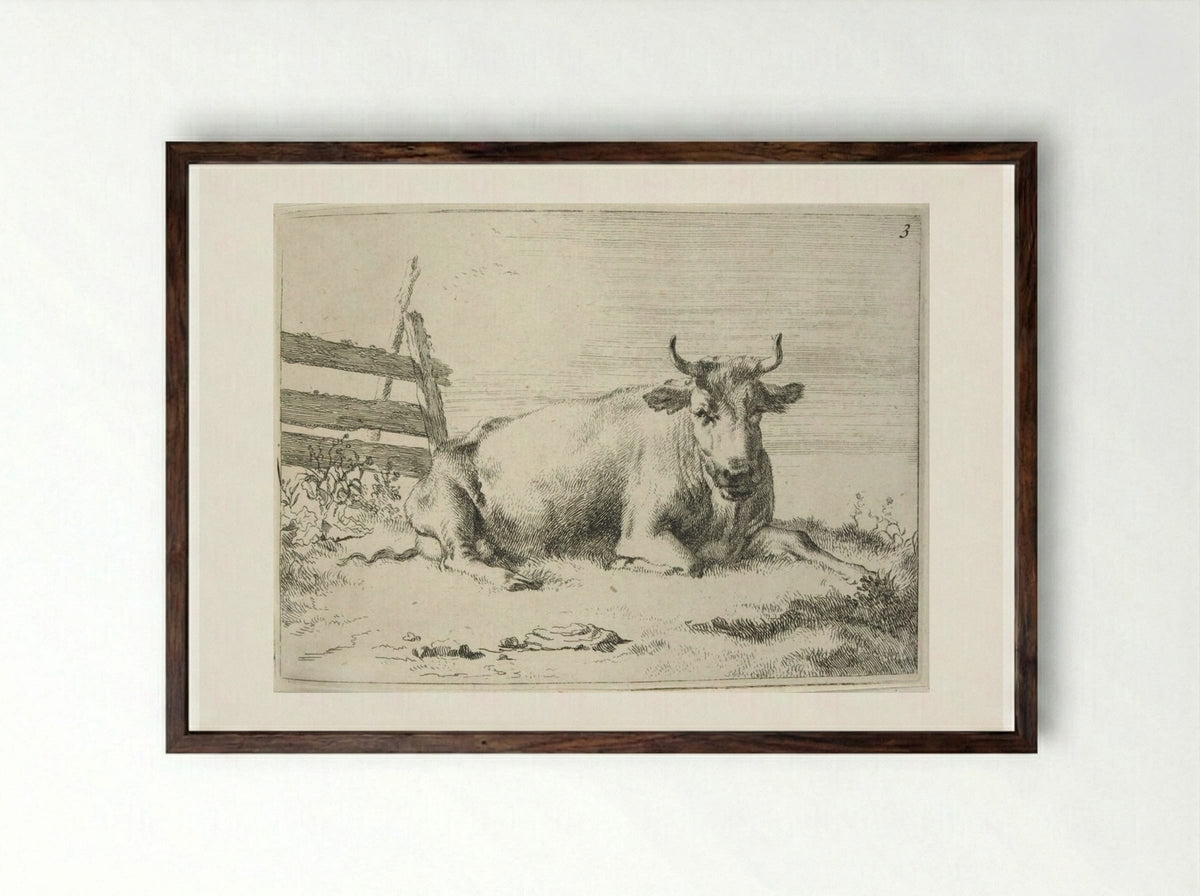 Recumbent Cow near a Fence - Johannes Visscher - Framed Print Dark Wood
