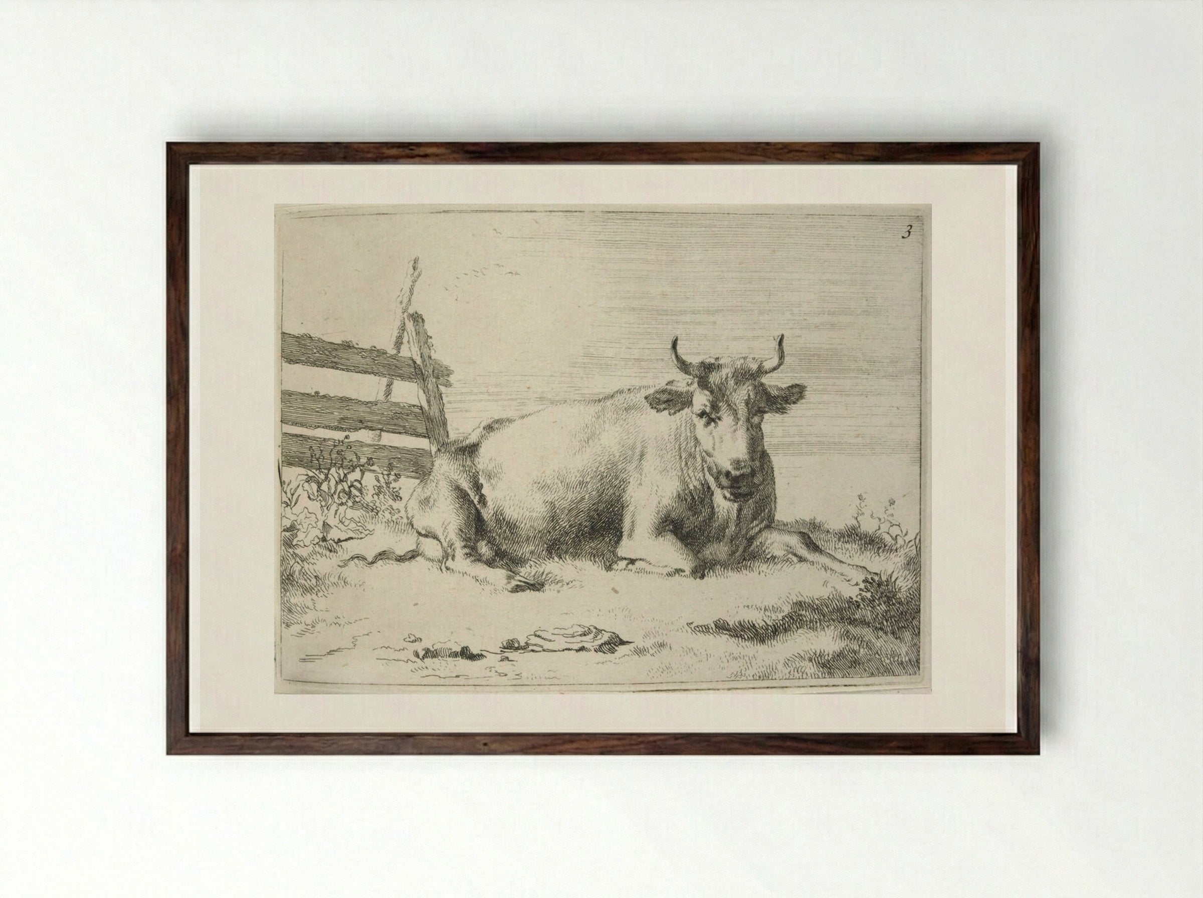 Recumbent Cow near a Fence - Johannes Visscher - Framed Print Dark Wood