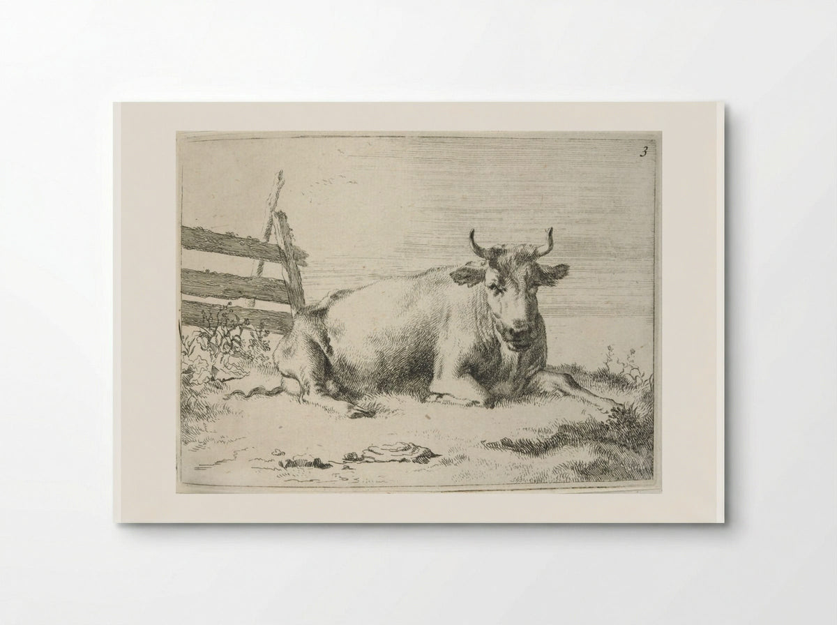 Recumbent Cow near a Fence - Johannes Visscher - Poster