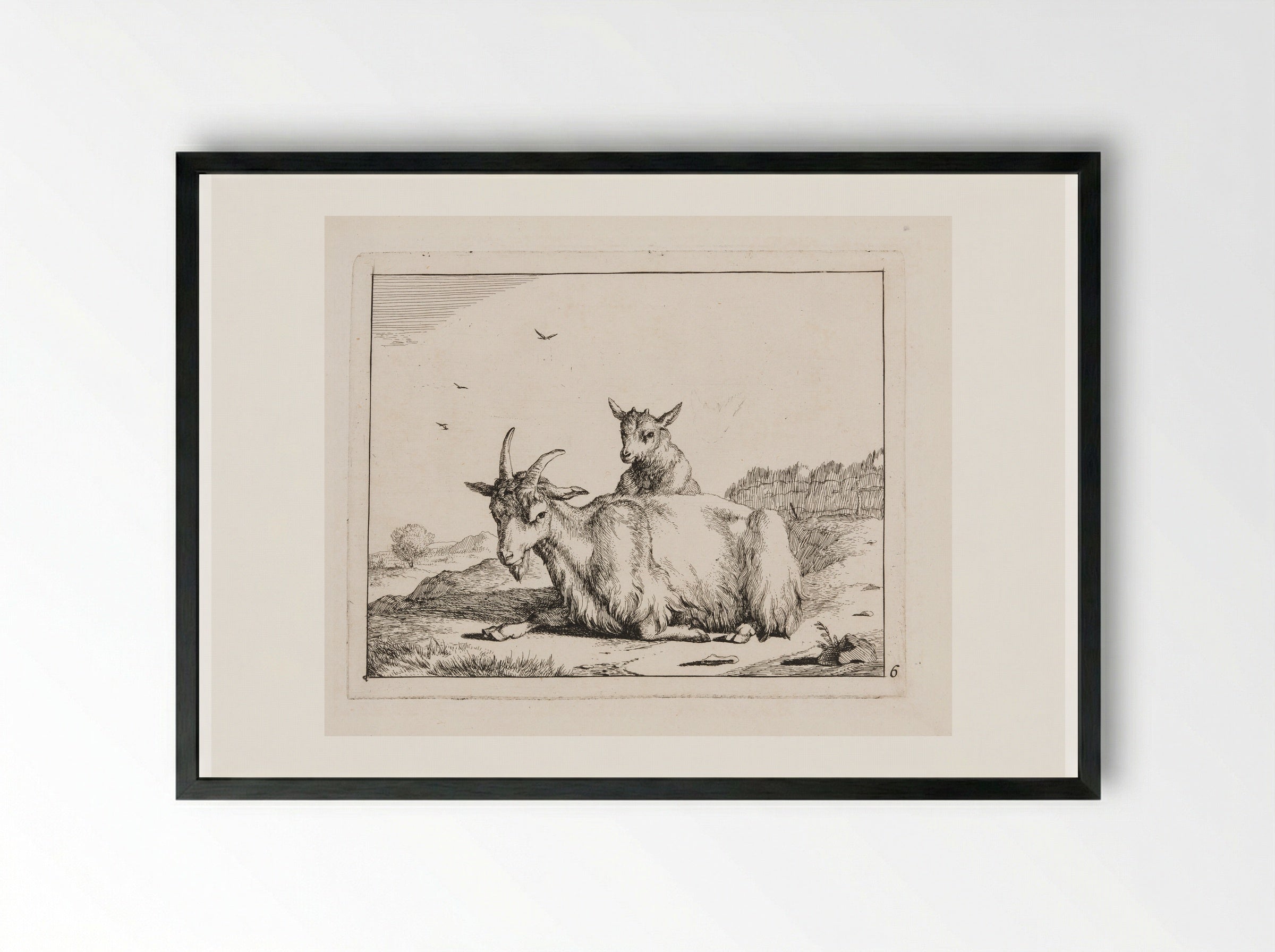 Recumbent Goat with a Kid - Marcus de Bye - Framed Print Black