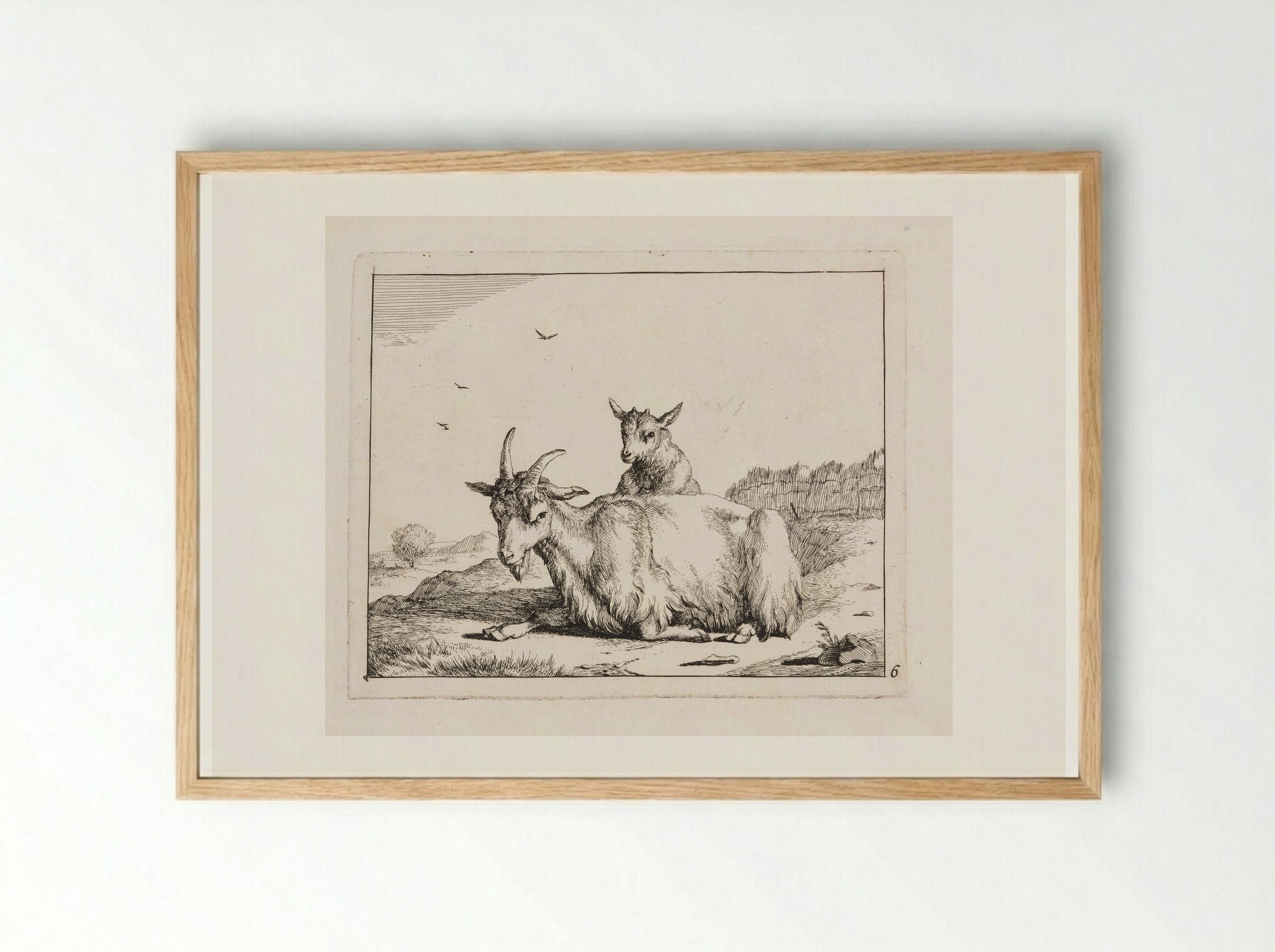 Recumbent Goat with a Kid - Marcus de Bye - Framed Print Wood